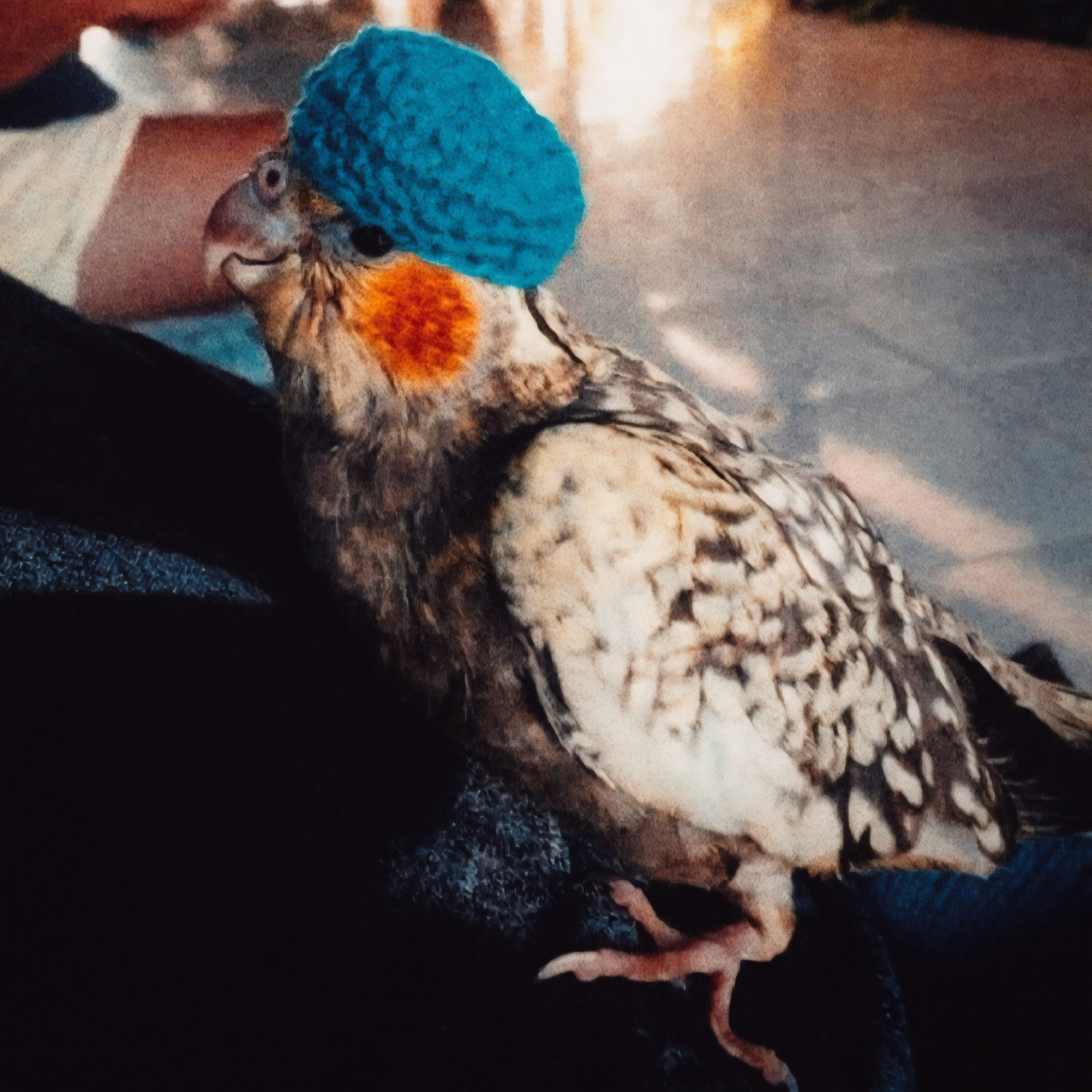 Feliz no simples - Episódio 132