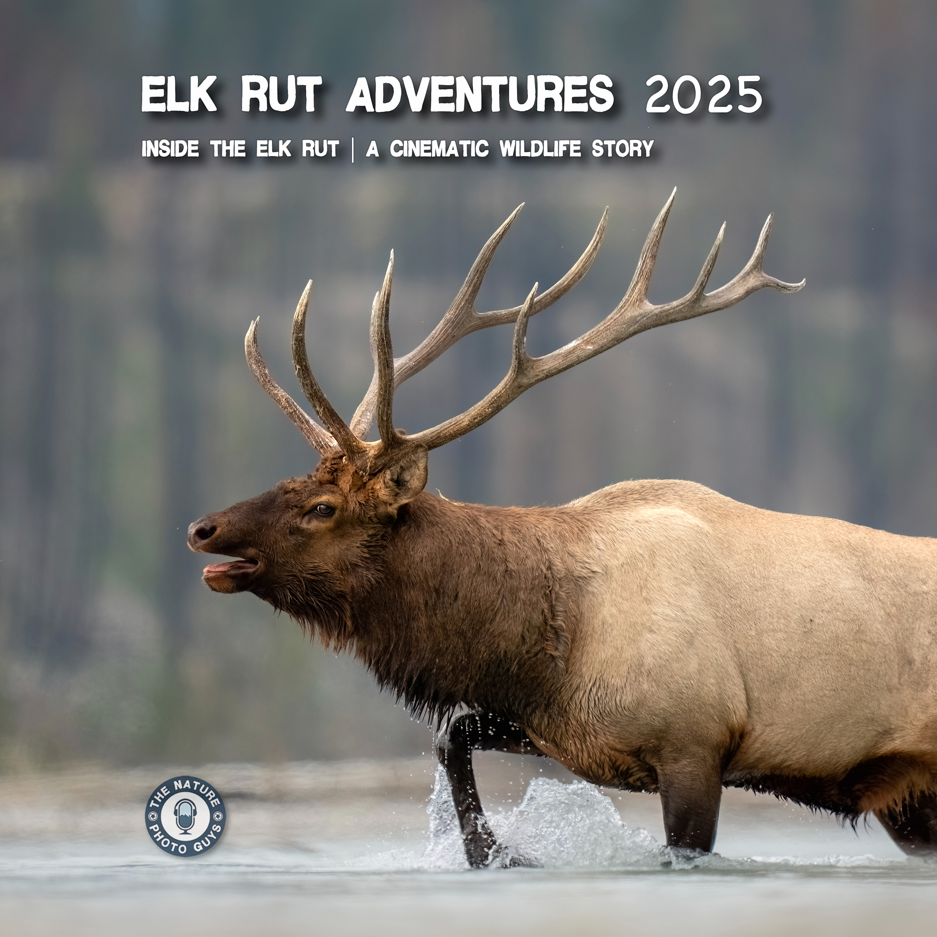 The Nature Photo Guys