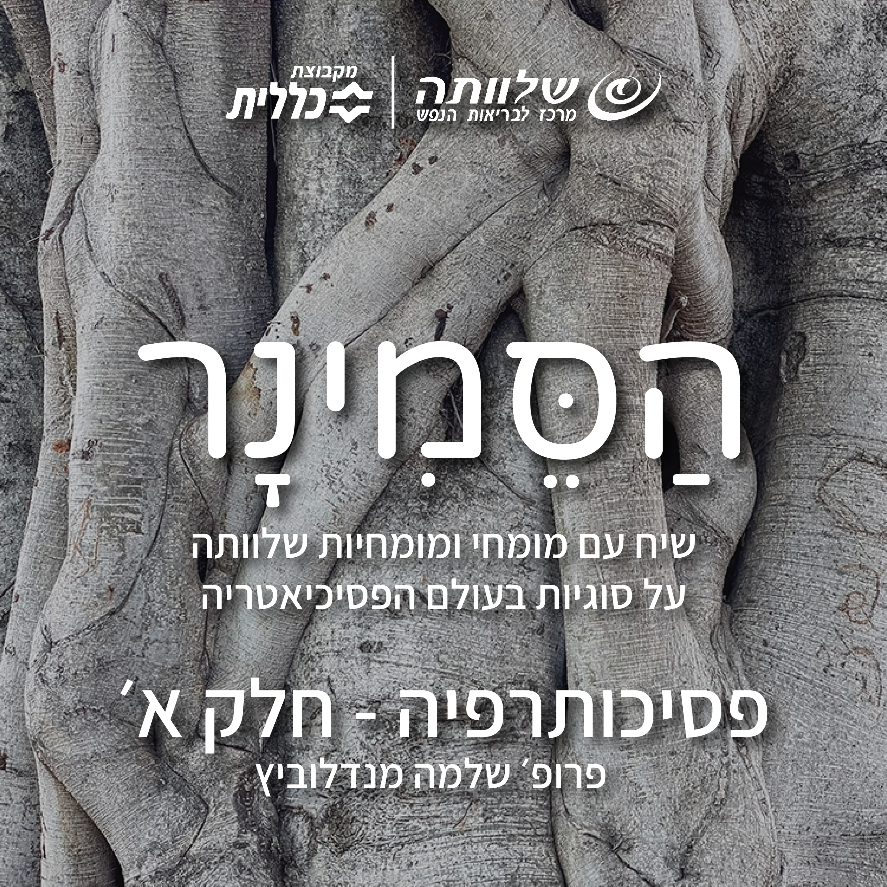 פרק 4- פסיכותרפיה- חלק א