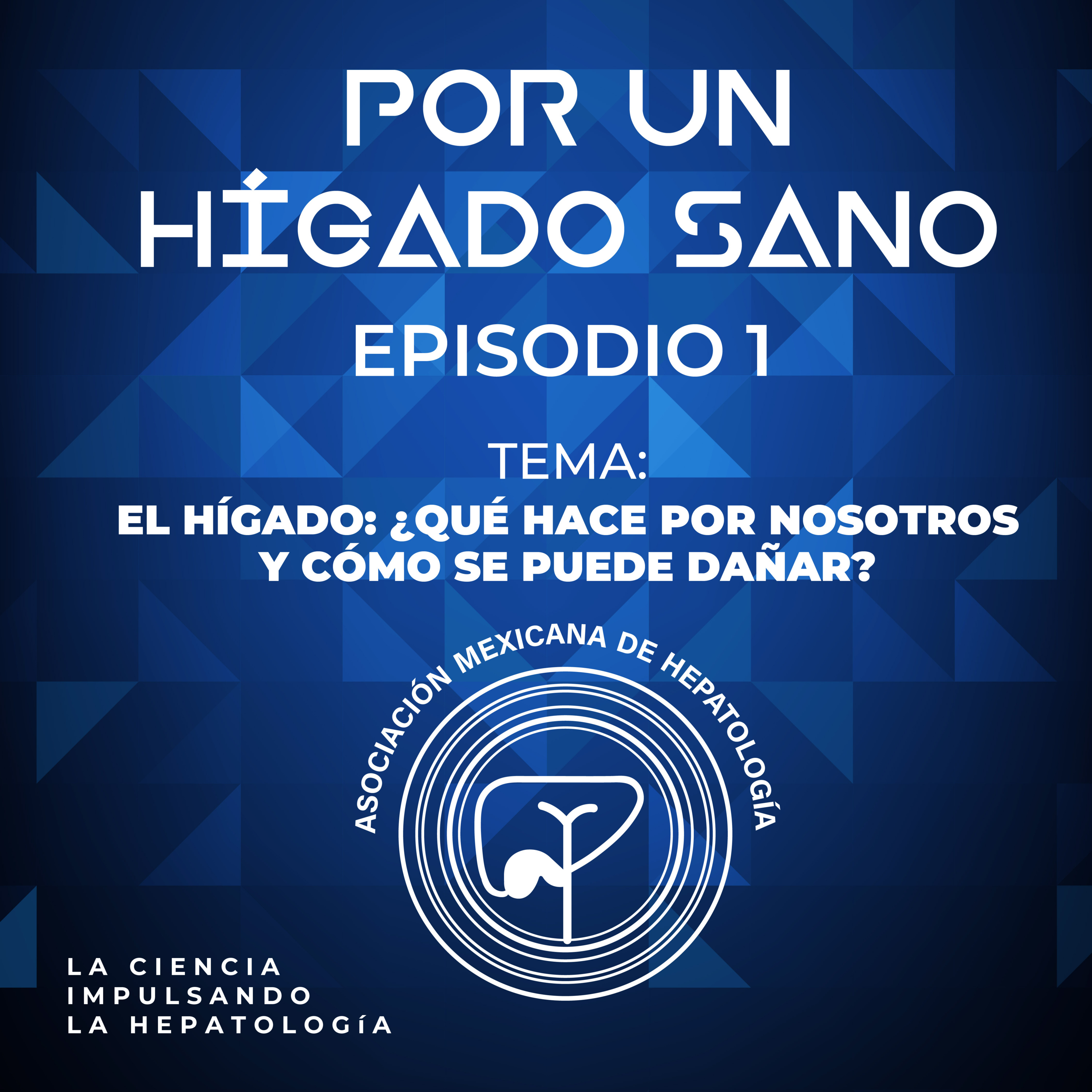 El hígado: ¿Qué hace por nosotros y cómo se puede dañar?