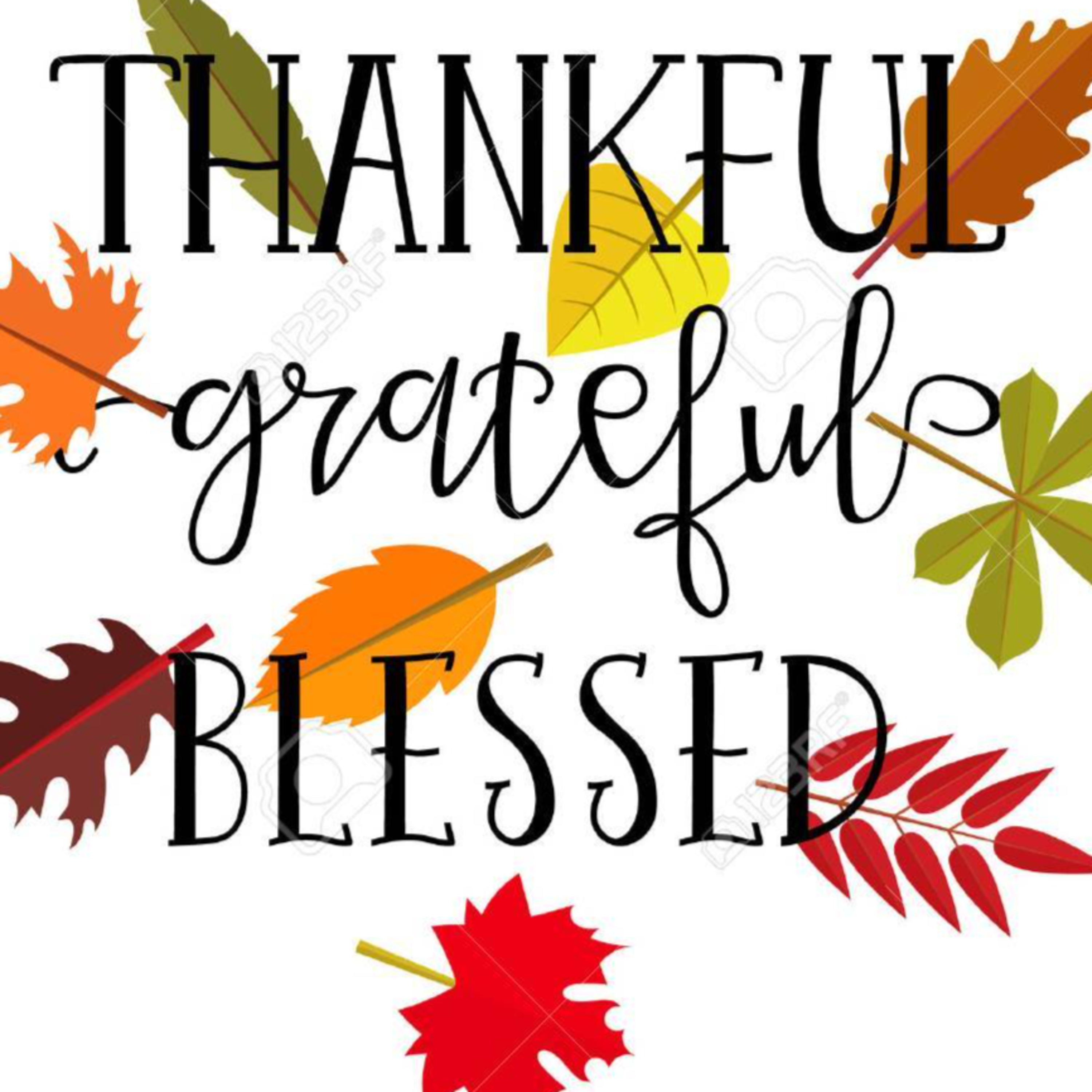 How to Celebrate Thanksgiving: Let's Talk Turkey, Family Drama & More episode artwork