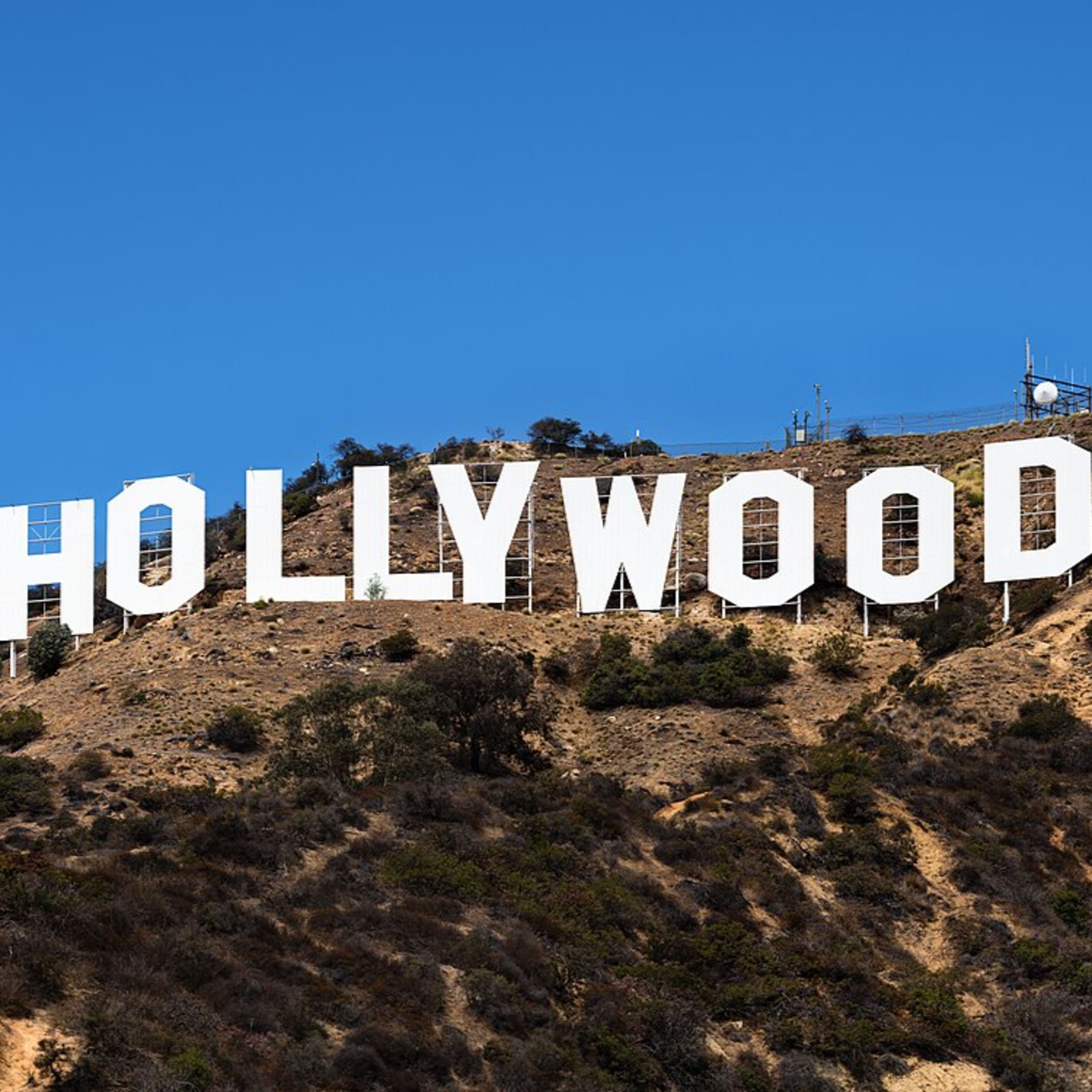 How to bring about change in 2025: Bringing in 2025 with Hollywood, Training, Dogs, and Kids episode artwork