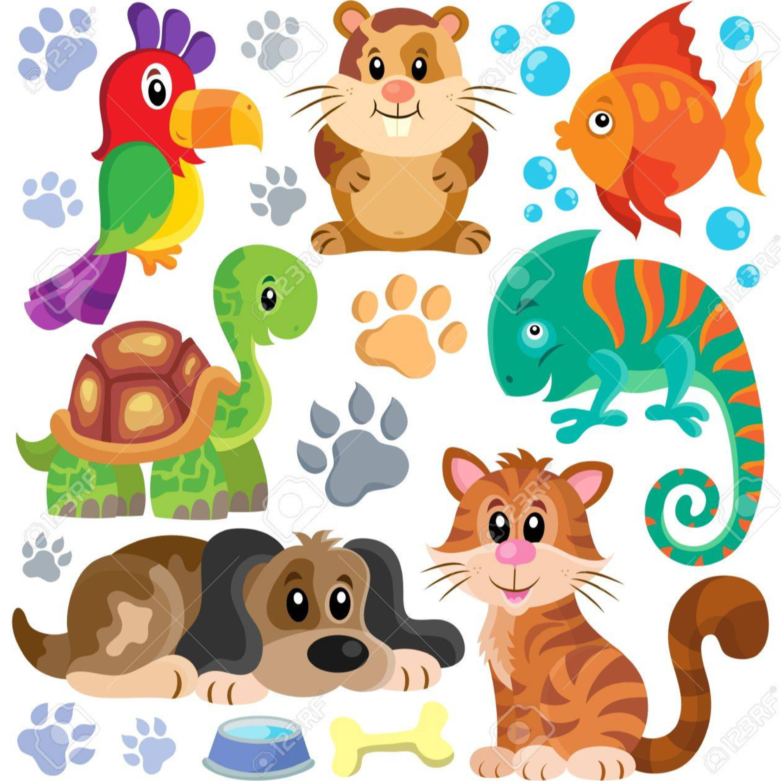 The Oscars Review and Our Furry Friends episode artwork