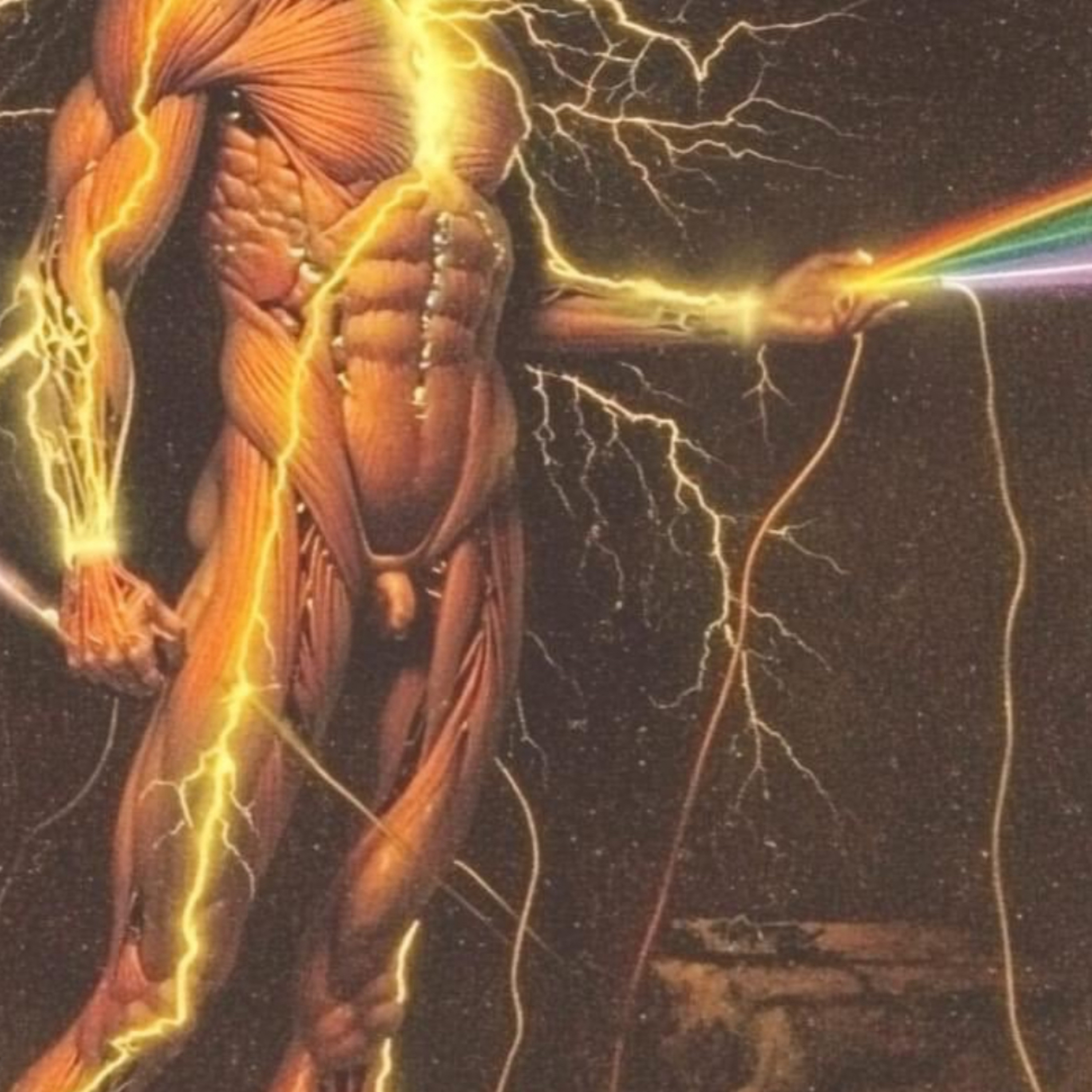 Midichlorians, the dark side of the whils 