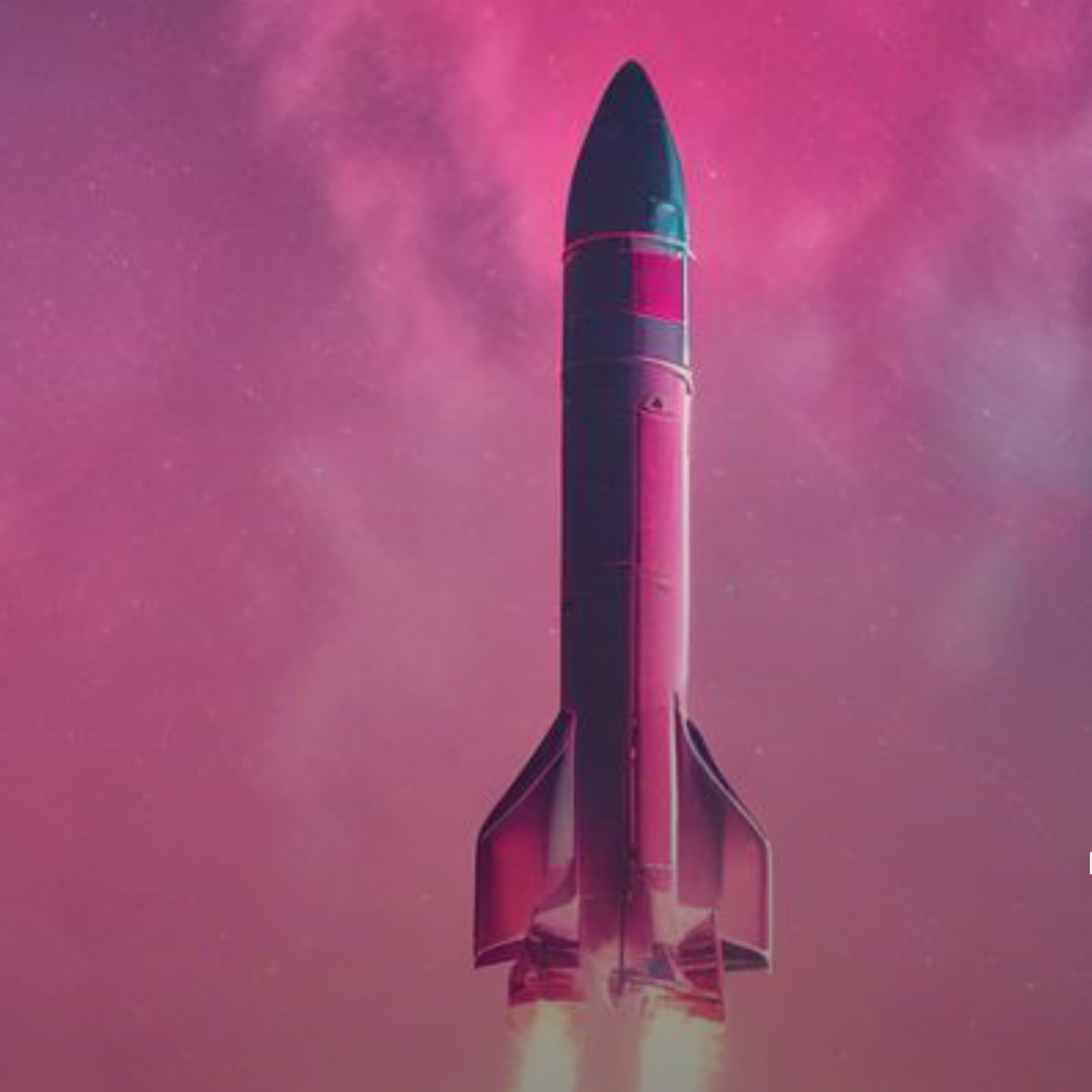 The Fermi “paradox” solution 