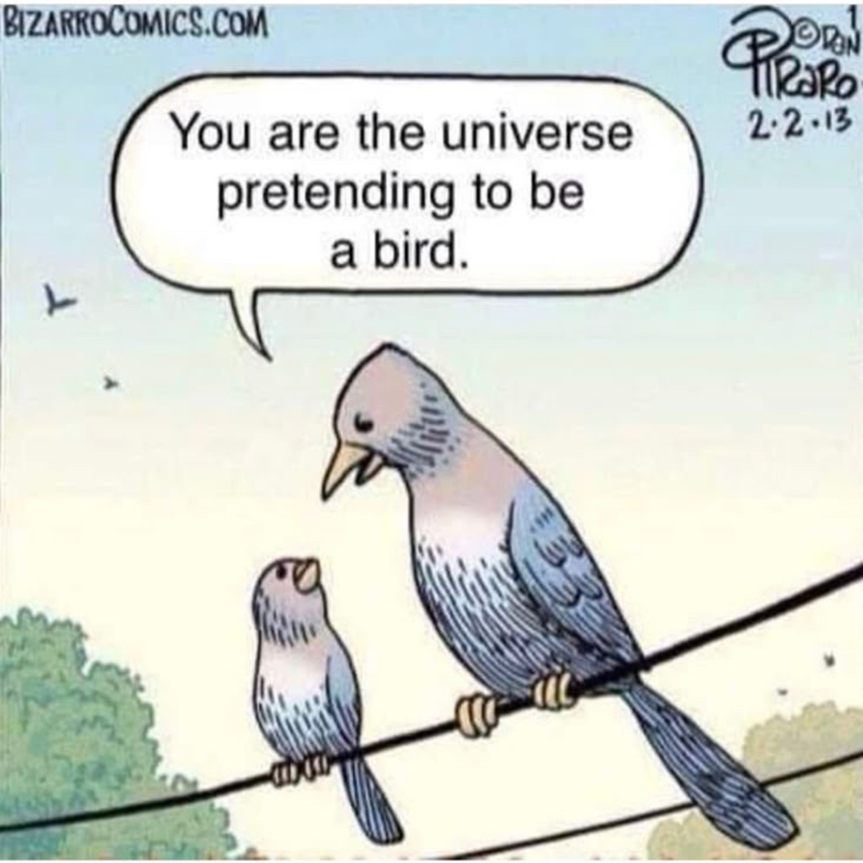 The bird is a universe pretending to be you 