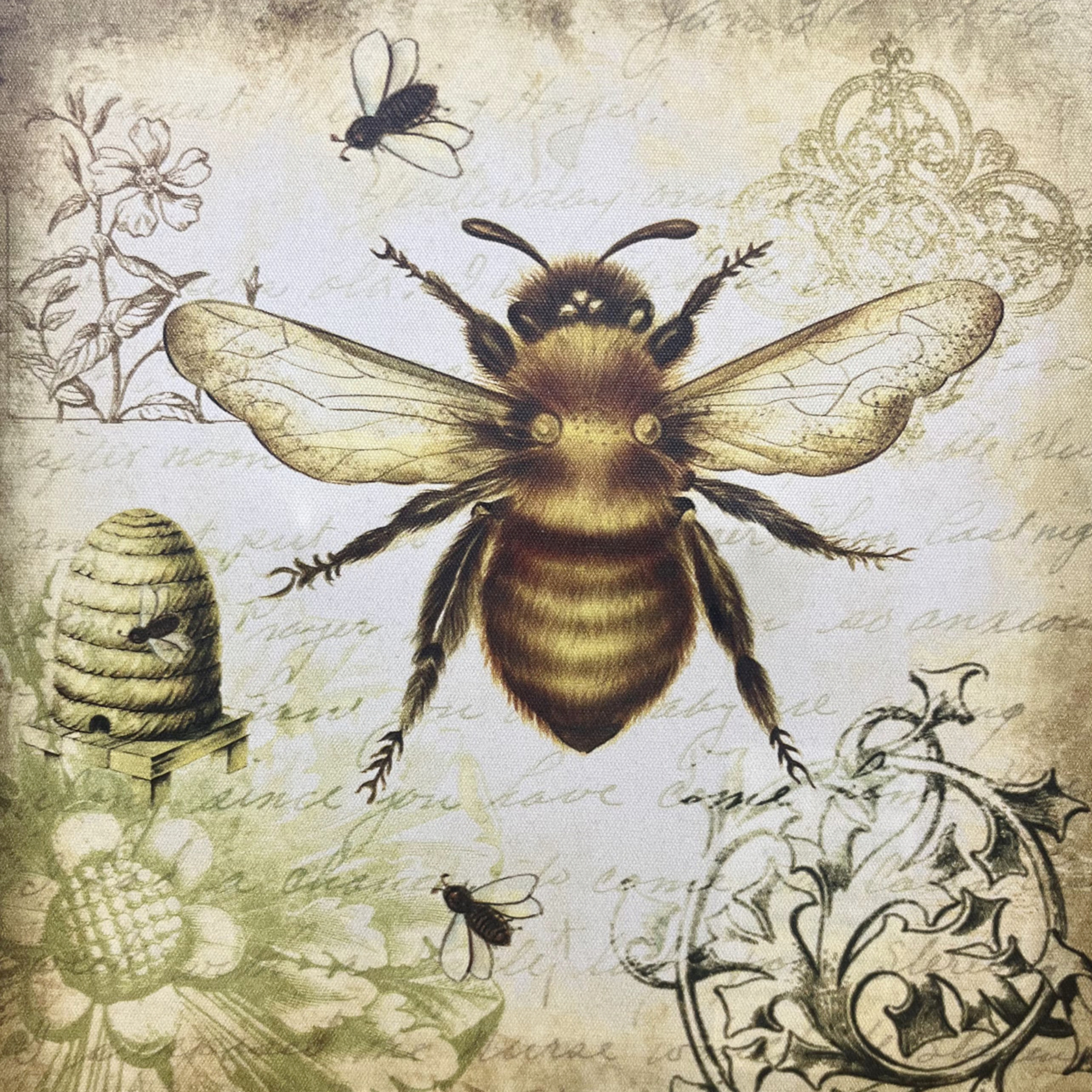 The Arrival of the Bee Box  episode artwork