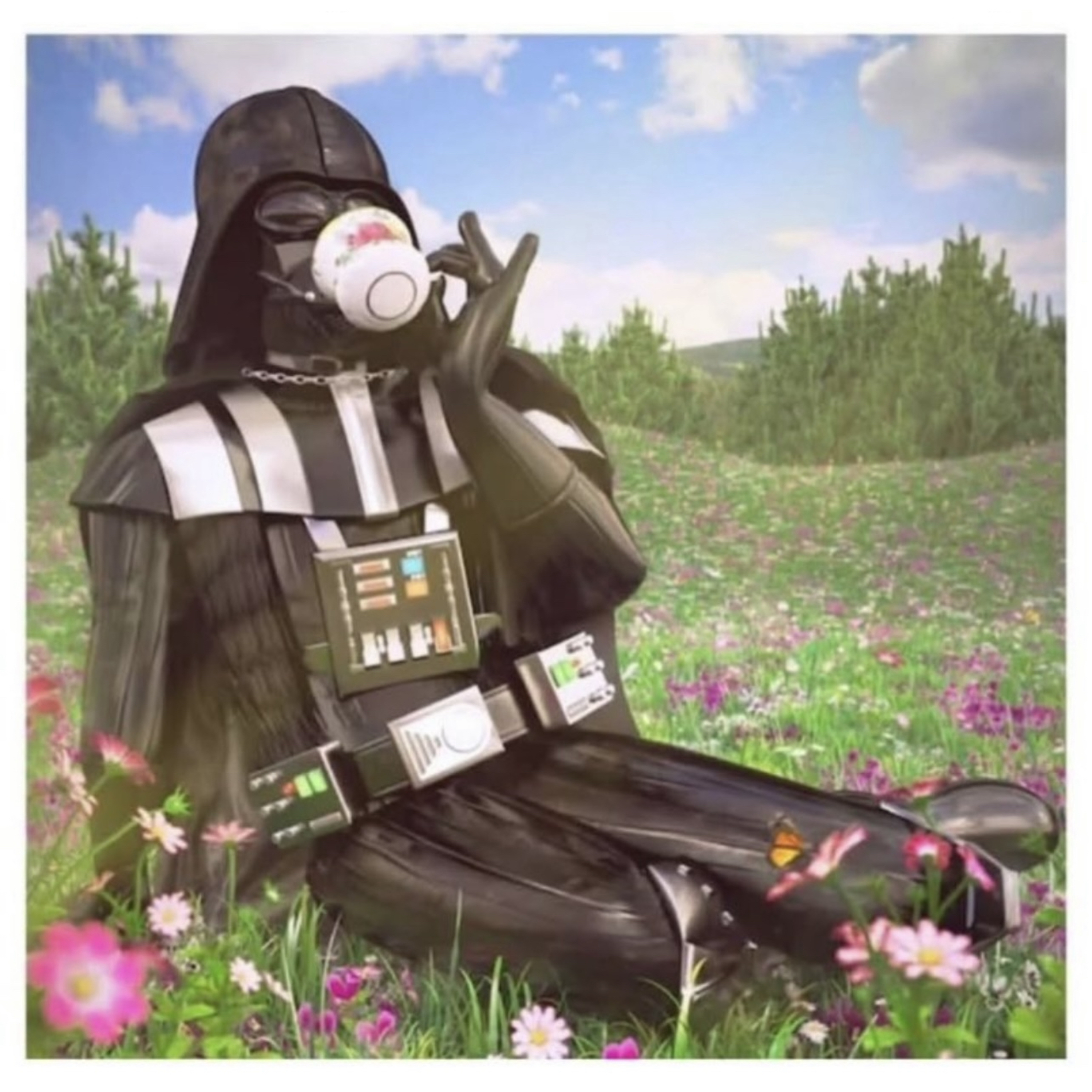 Darth Kermit 🍵 Lipton tea 🫖 meme