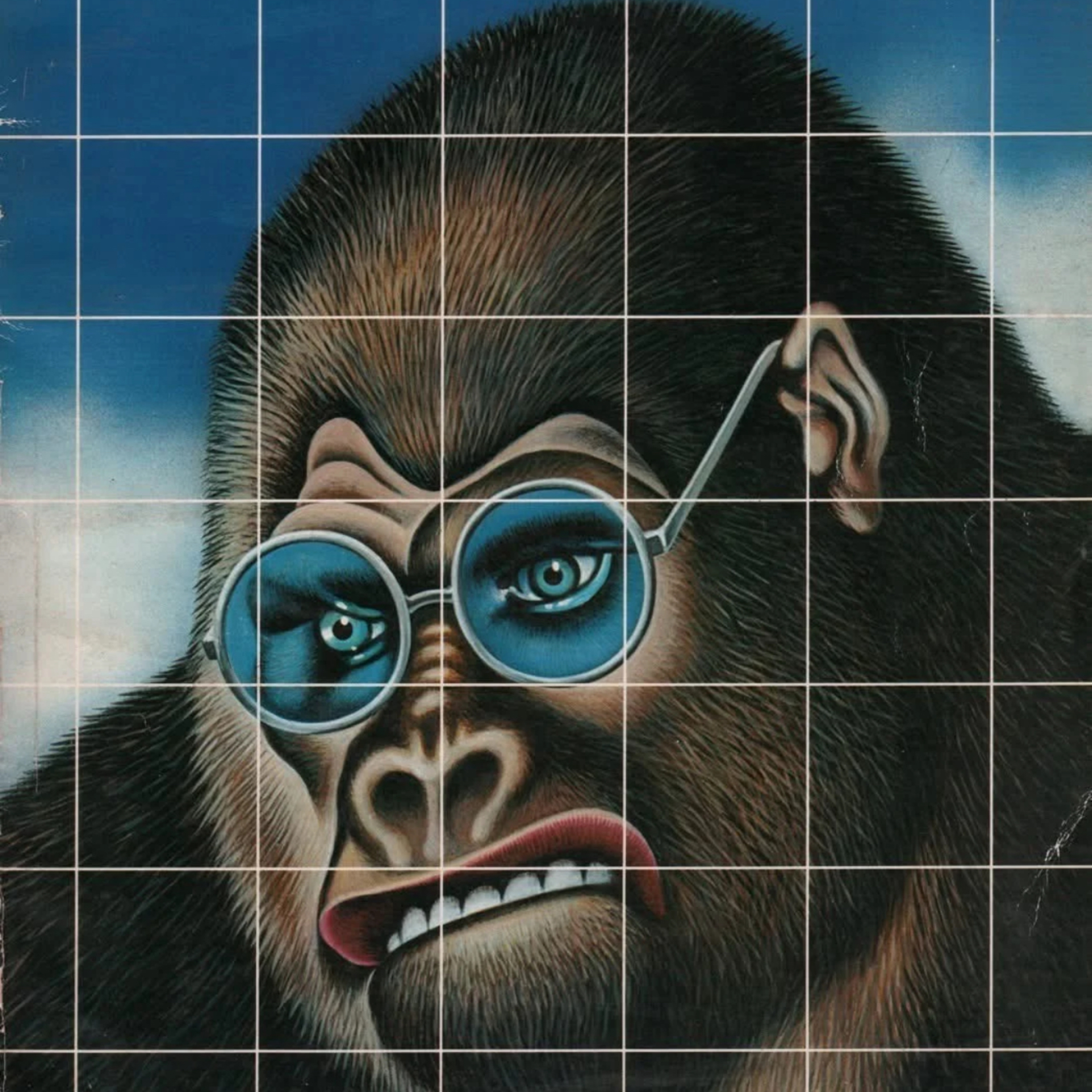 Ciao 🦍 