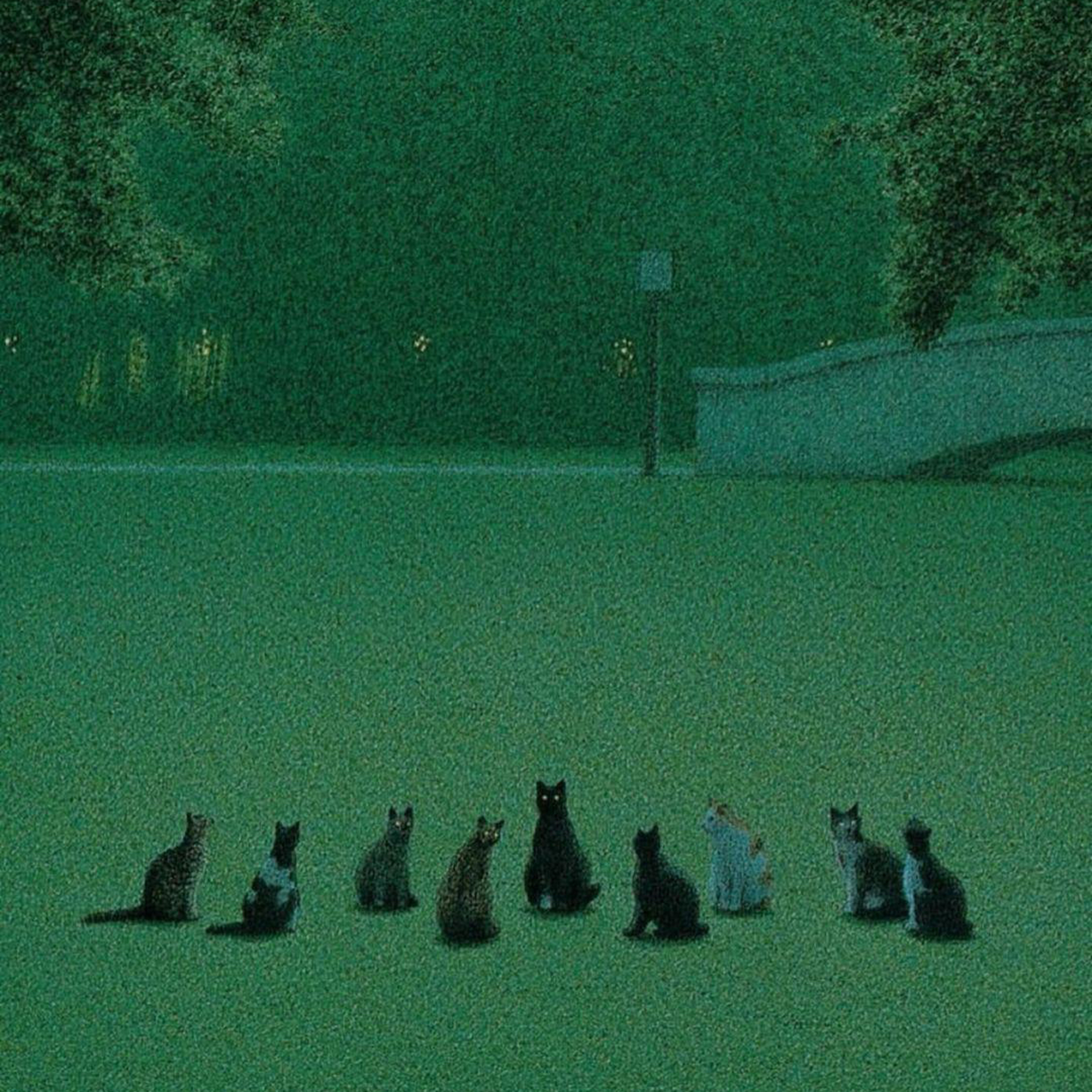 Catting herds