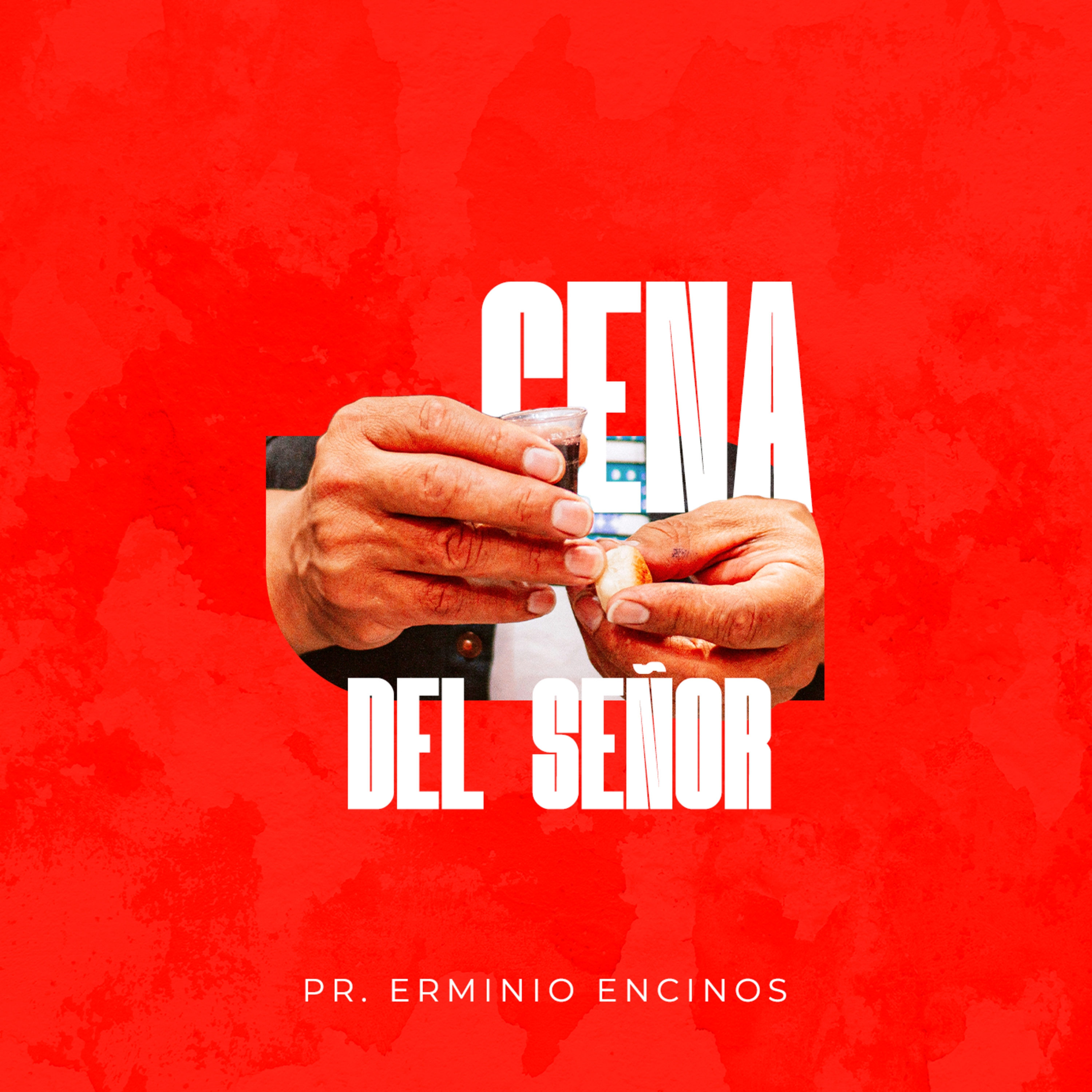 Portada de Iglesia Bautista Berea SC