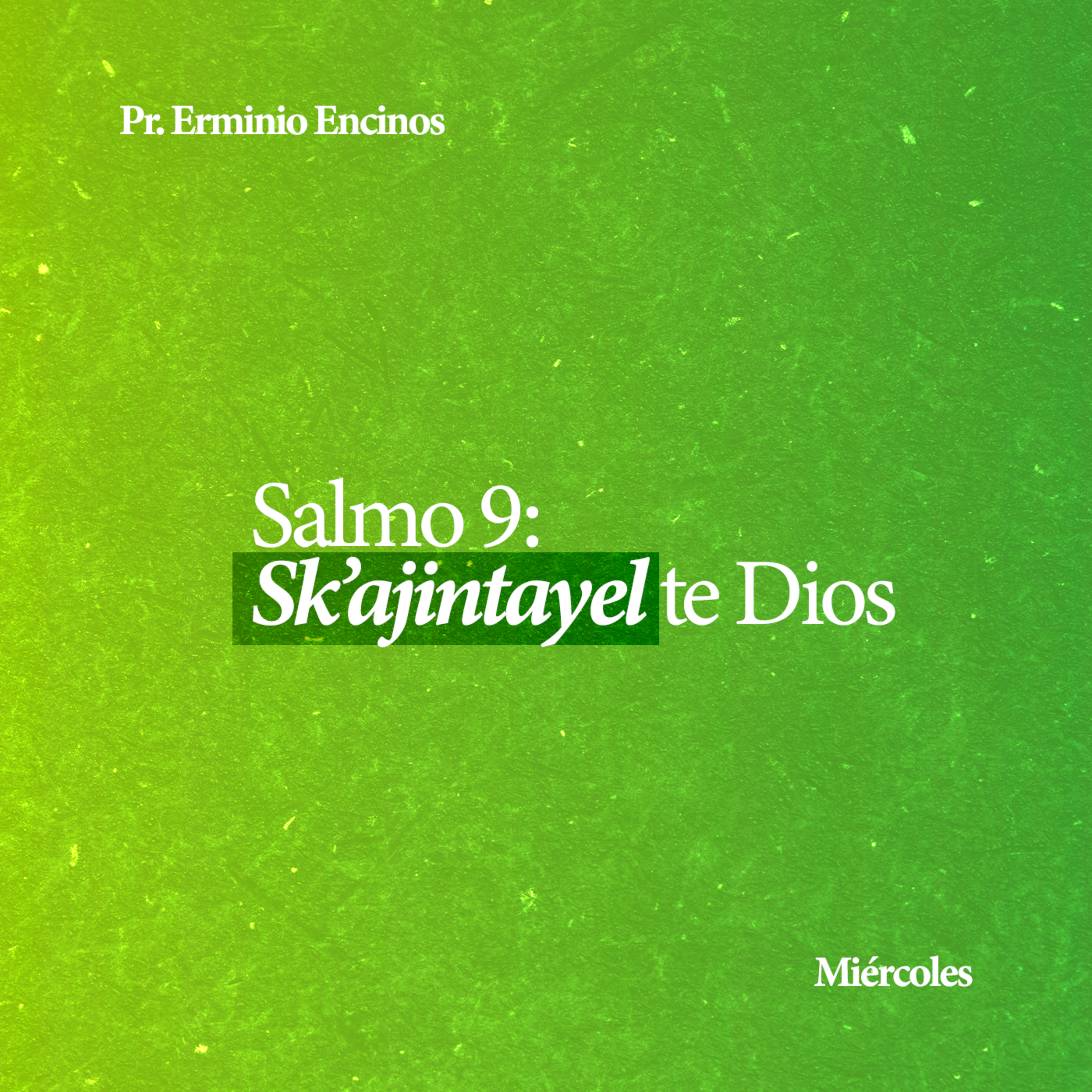 Salmo 9: Sk'ajintayel te Dios - Pr. Erminio Encinos episode artwork