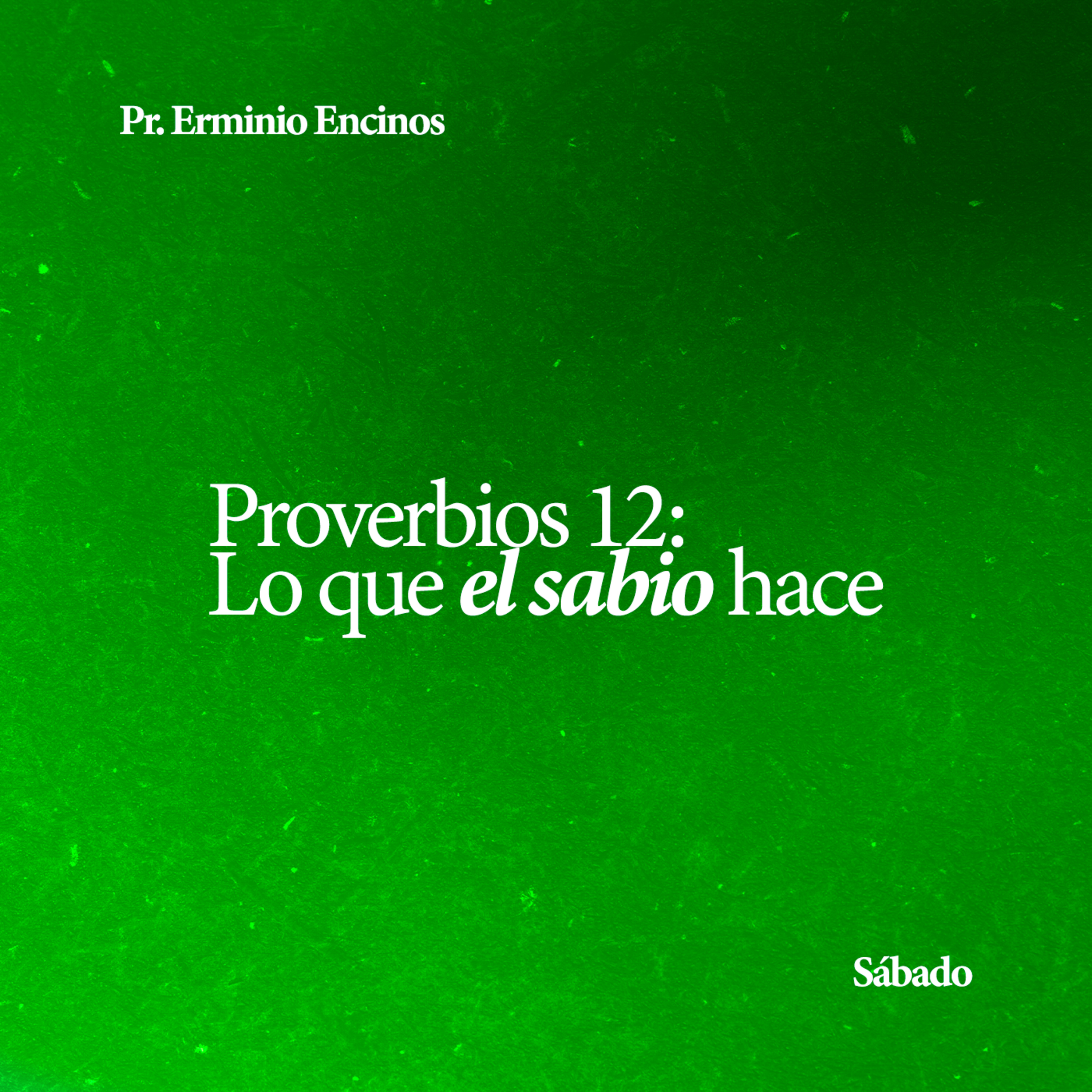 Proverbios 12: Lo que el sabio hace - Pr. Erminio Encinos episode artwork