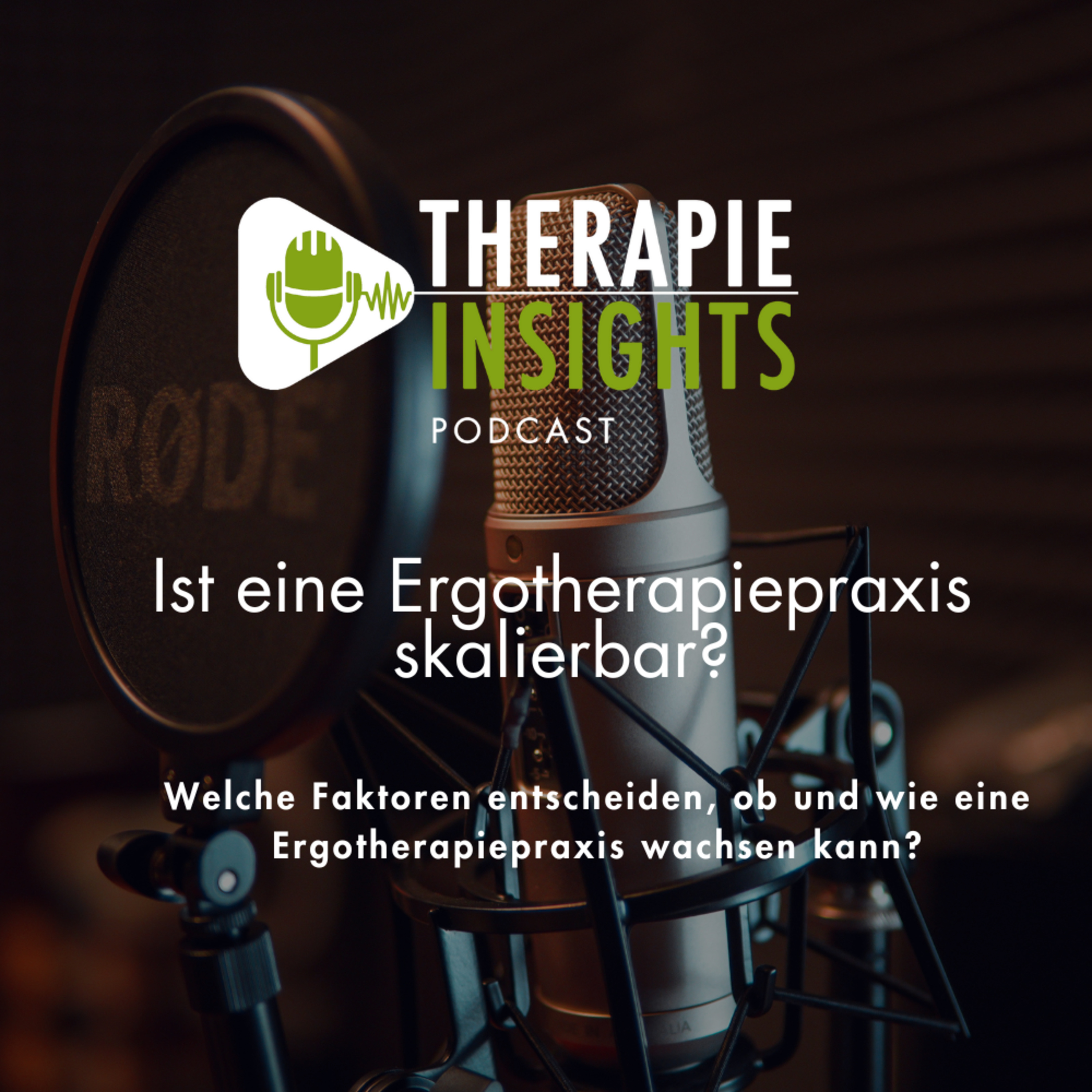 #62 Kann man eine Ergotherapiepraxis eigentlich skalieren? 🧠📈