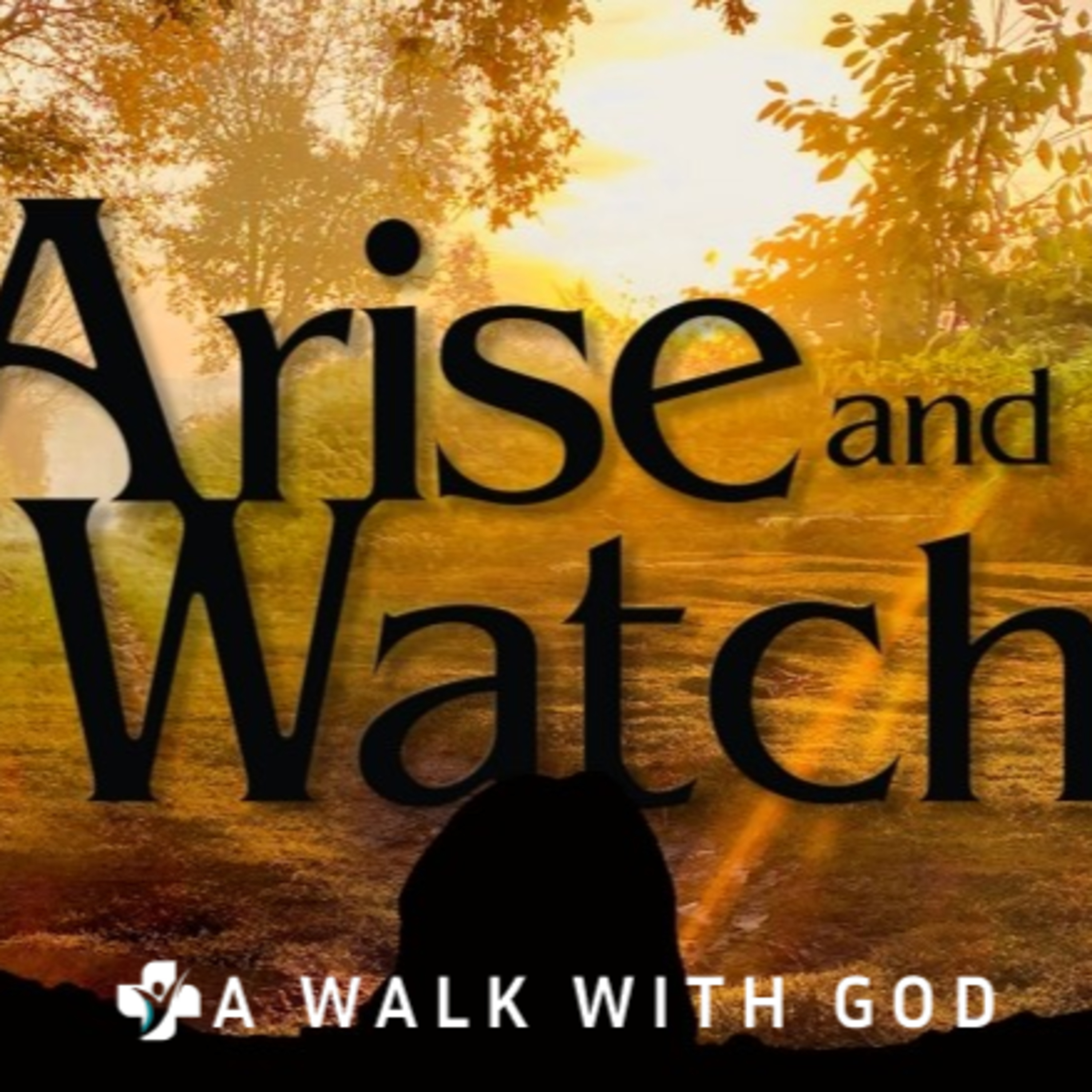 DAY 3: 🕺🏾ARISE & WATCH🌗 CONFERENCE episode artwork