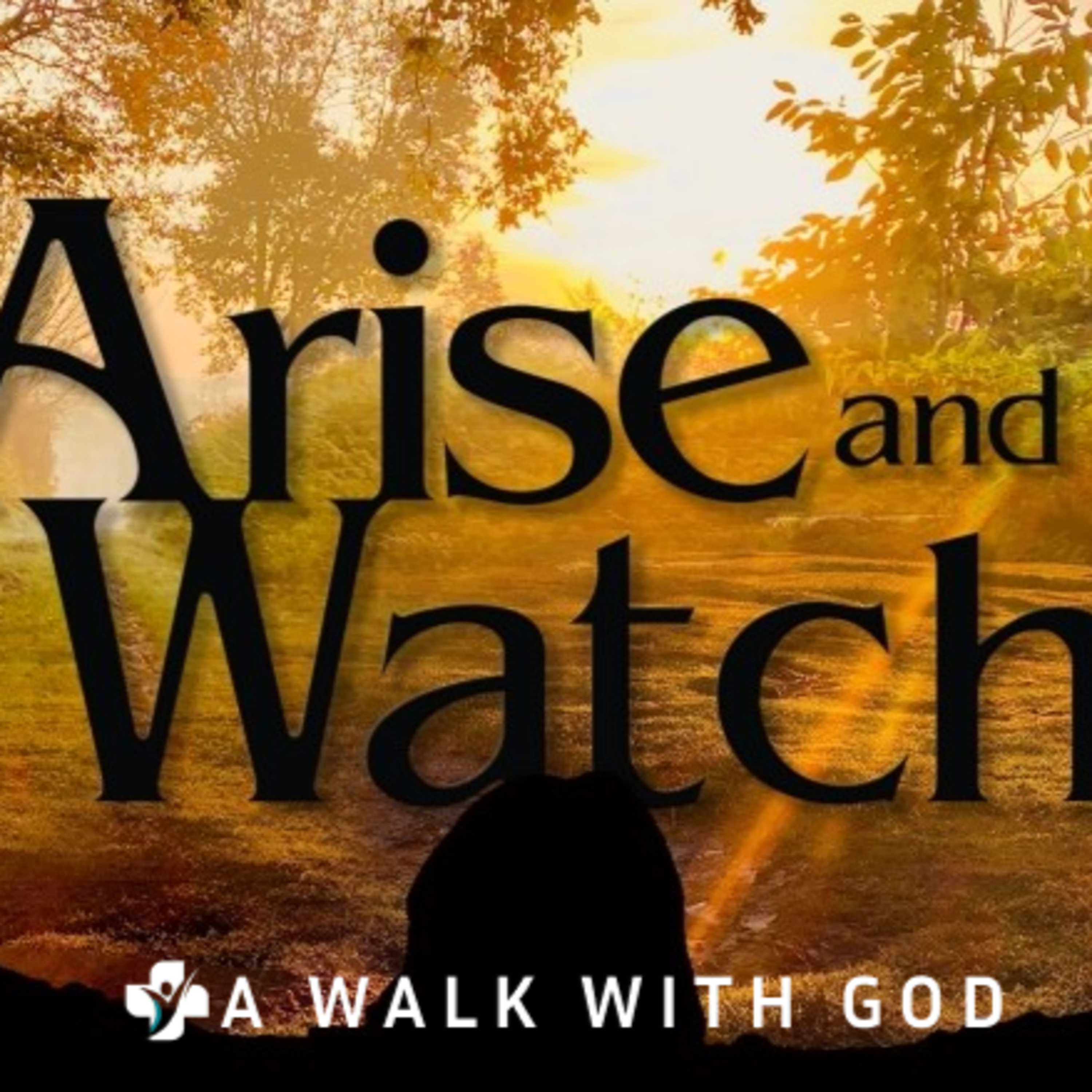 DAY 13: 🕺🏾ARISE & WATCH🌗 CONFERENCE episode artwork