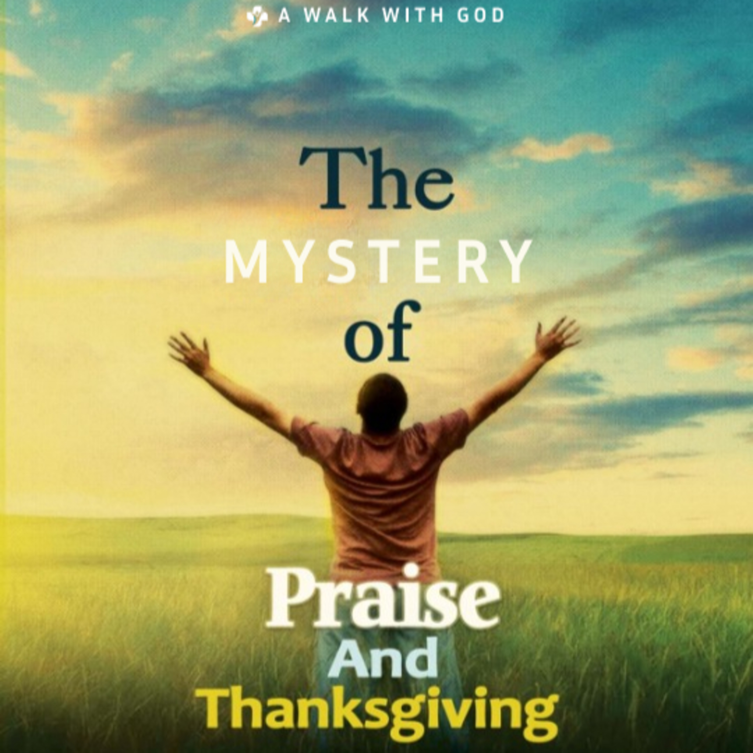 DAY 3: 🎺🎻THANKSGIVING & 🙌🏽PRAISE CONFERENCE🥁🎤 episode artwork