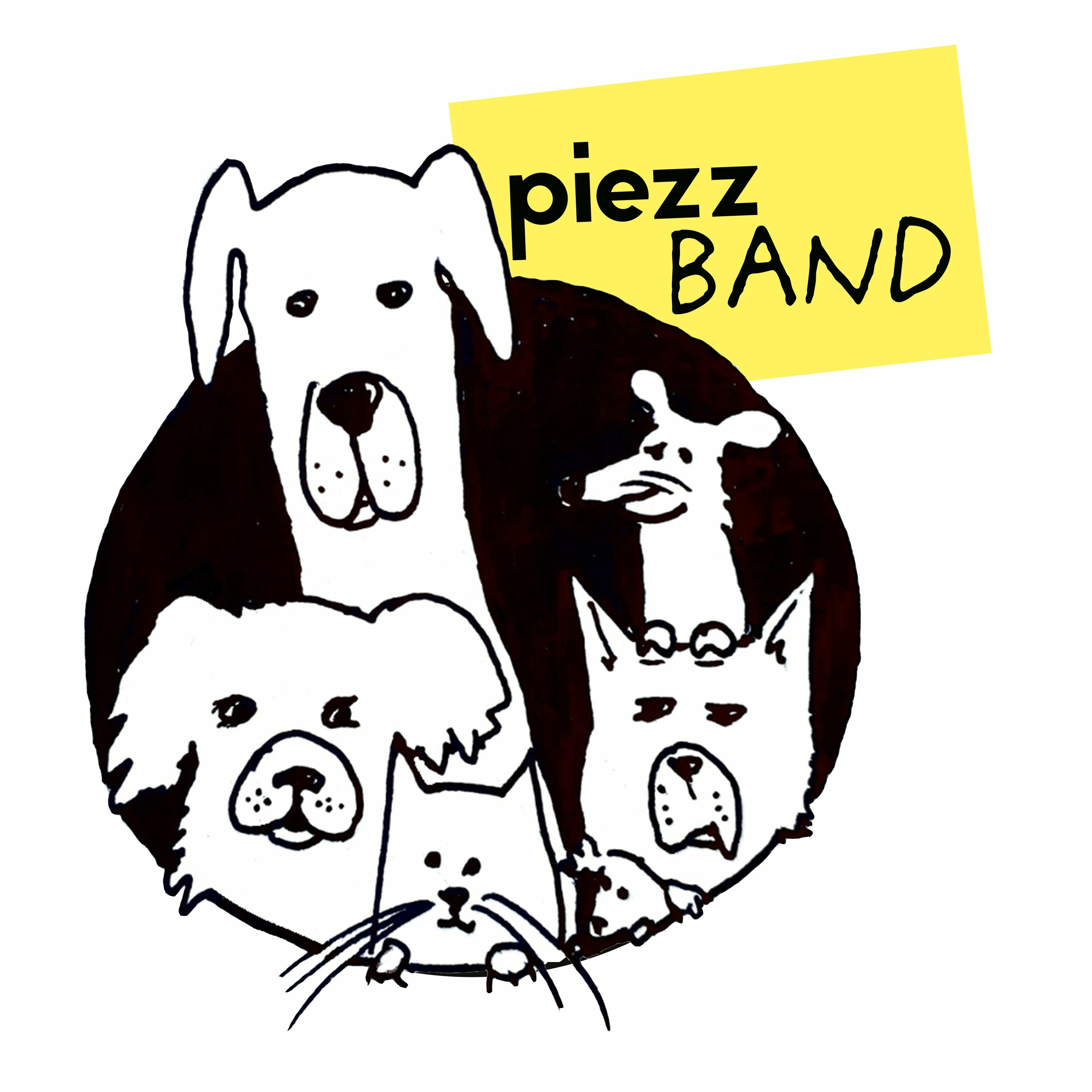 Marta Pokorska-Jurek prezentuje: słuchowiska, podcasty o zwierzętach oraz o Łodzi