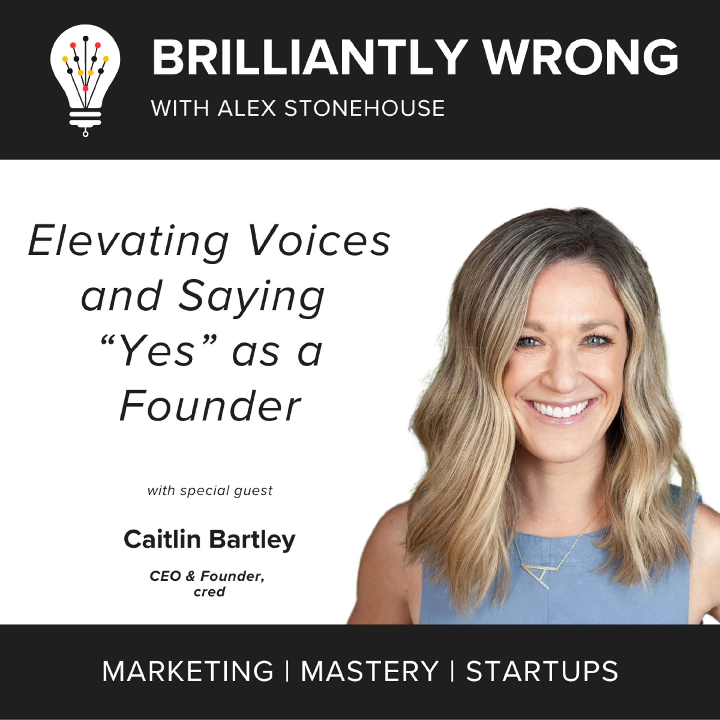 Brilliantly Wrong: Marketing. Creativity. Startups.