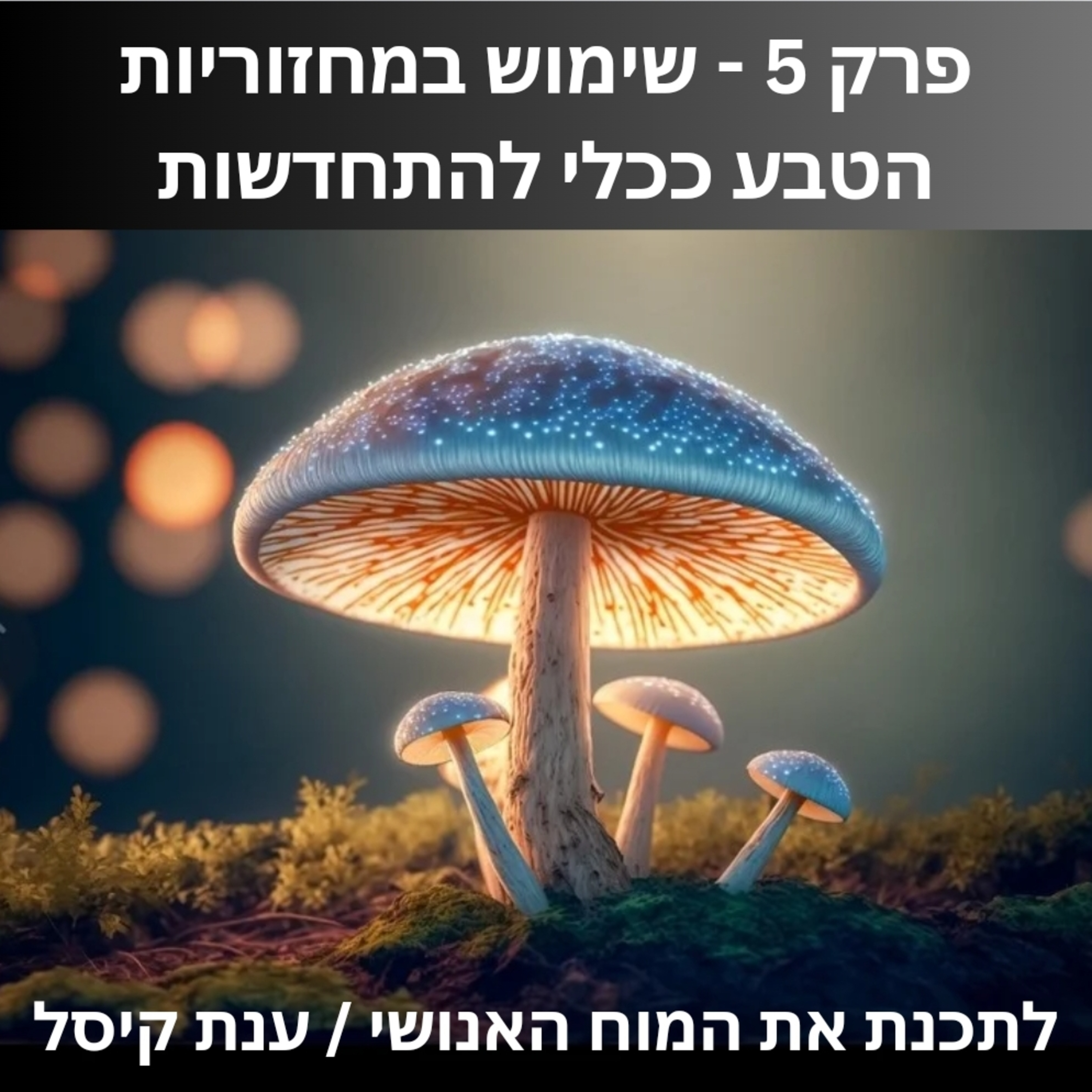 פרק 5 - שימוש במחזוריות הטבע ככלי להתחדשות