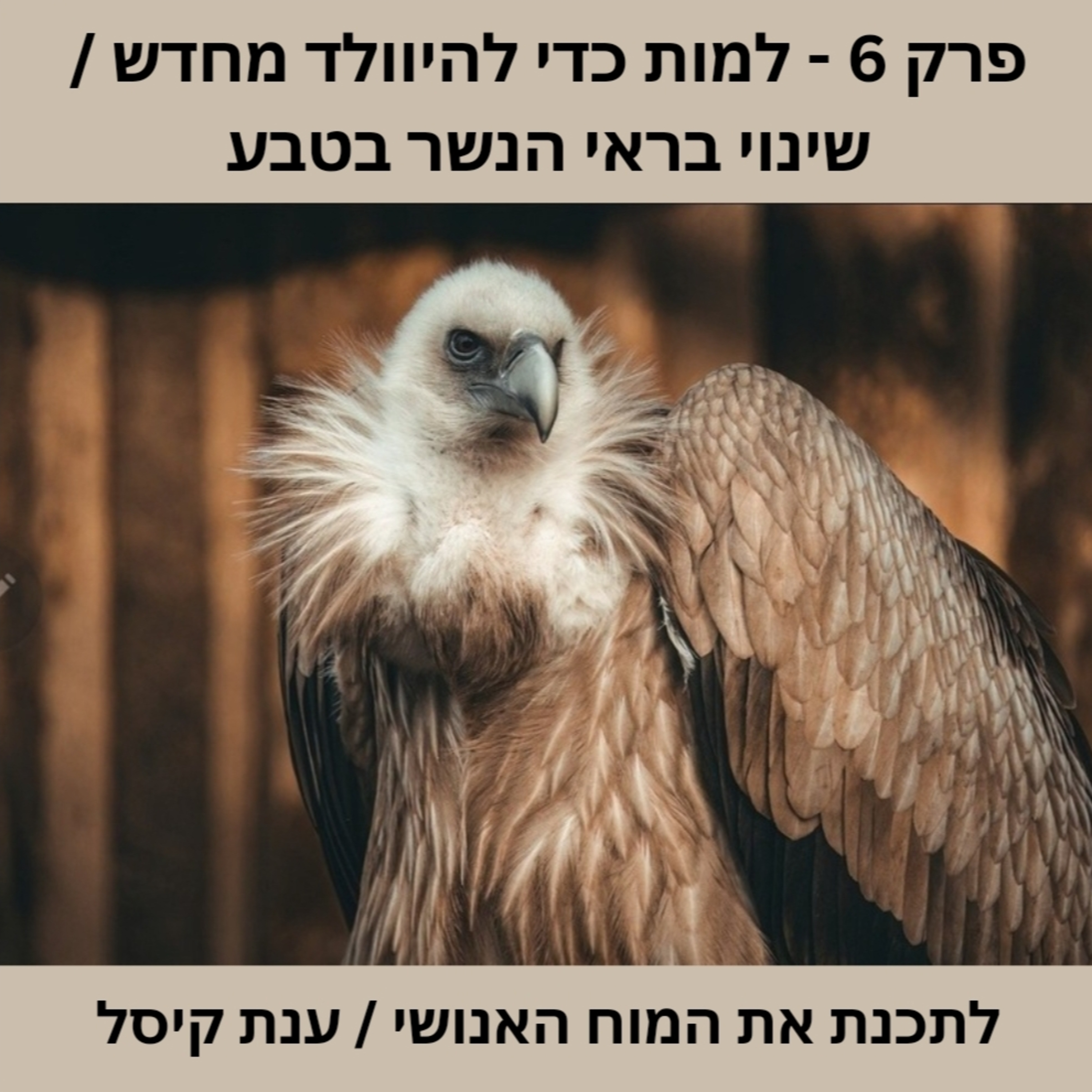 פרק 6 - למות כדי להיוולד מחדש - שינוי בראי הנשר בטבע