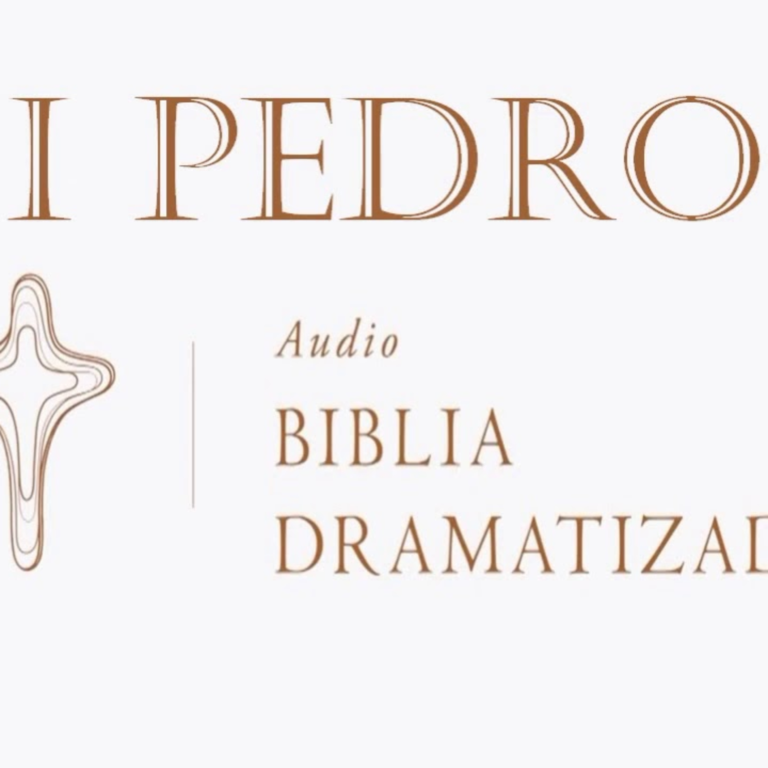 Audio Biblia Dramatizada NTV