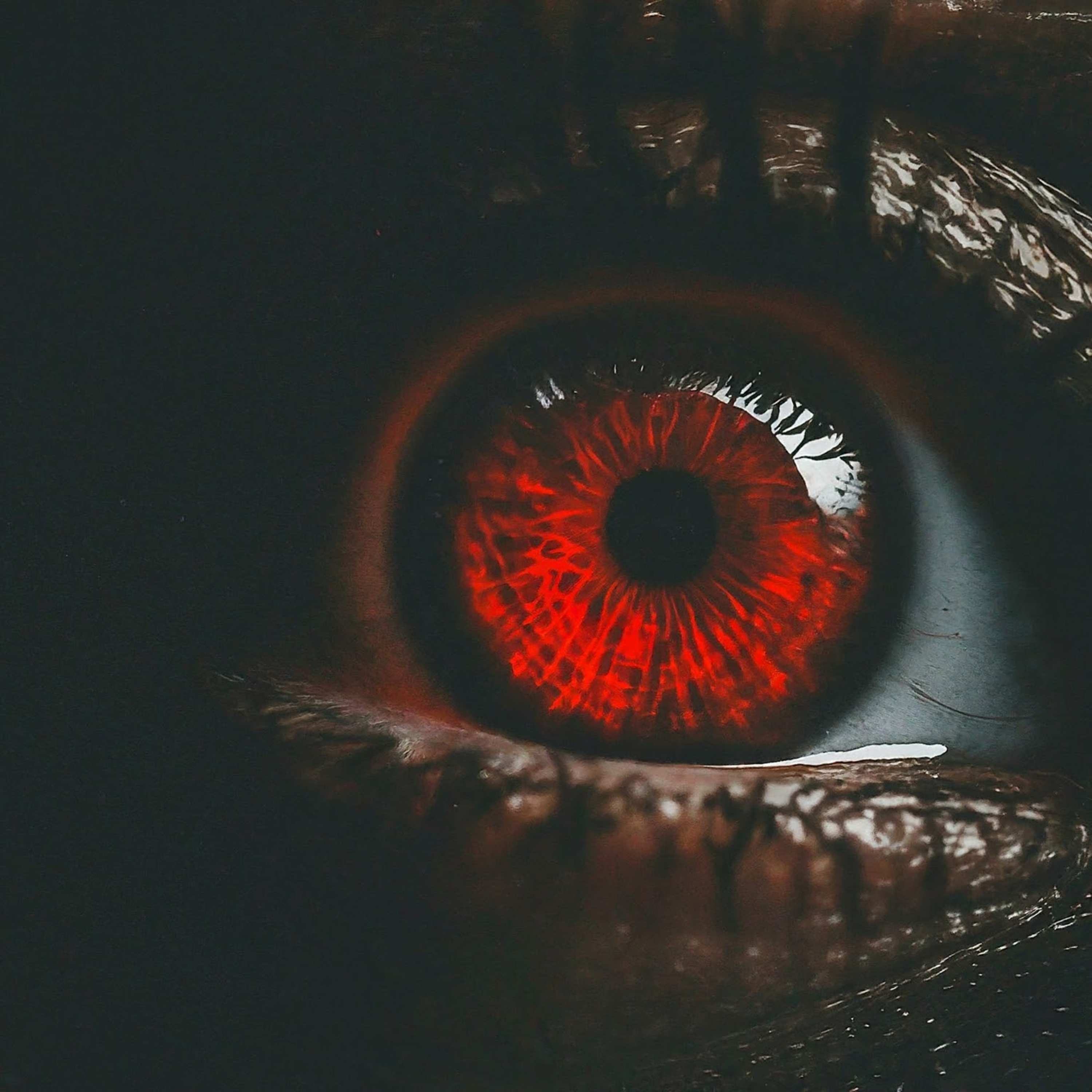 Demons in the Dark episode artwork