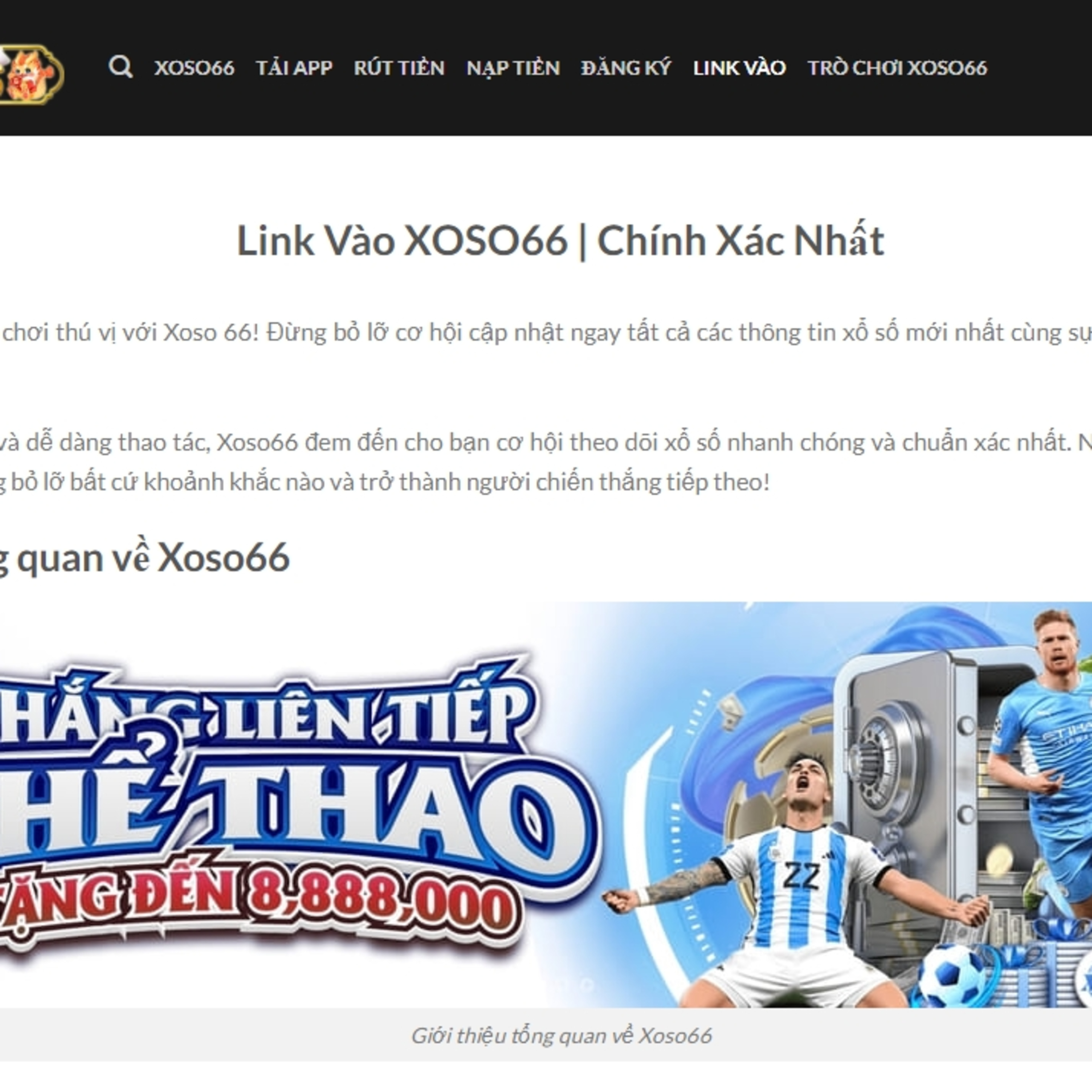 SEO Cam Review