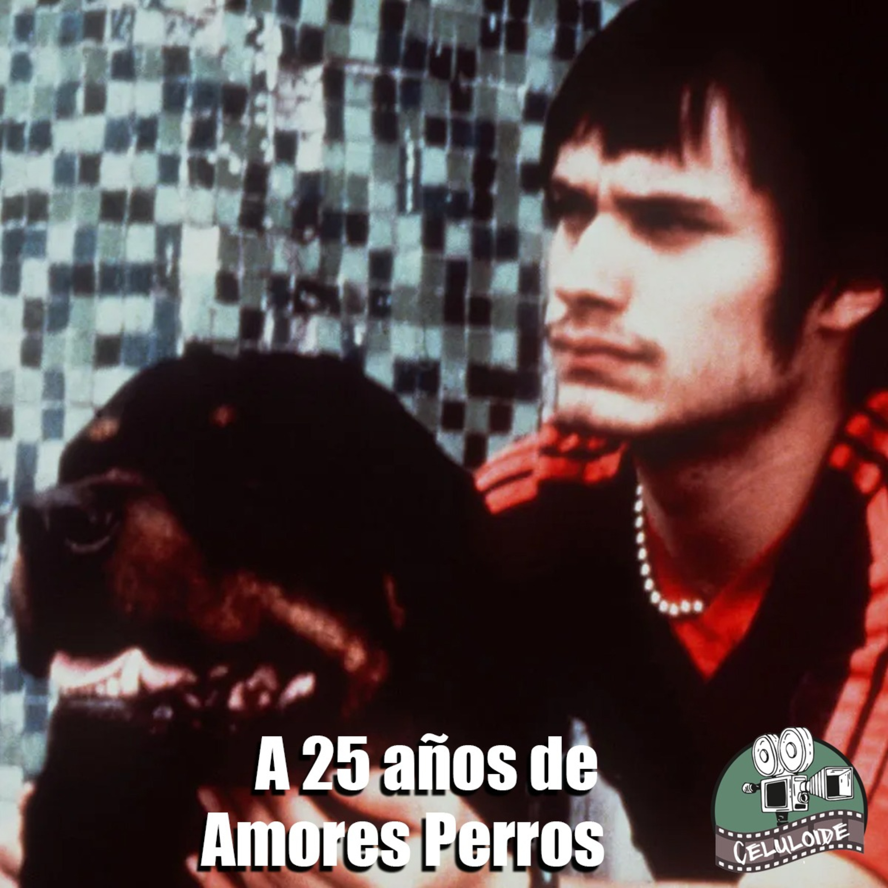 CLOP E202 A 25 años de Amores Perros