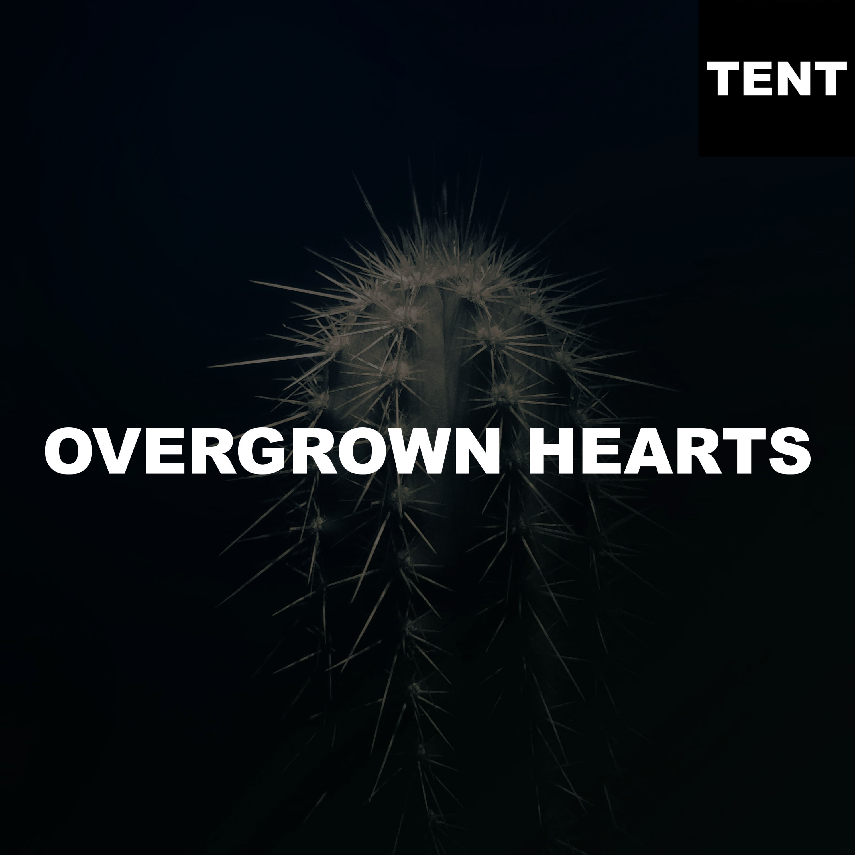 The Tent