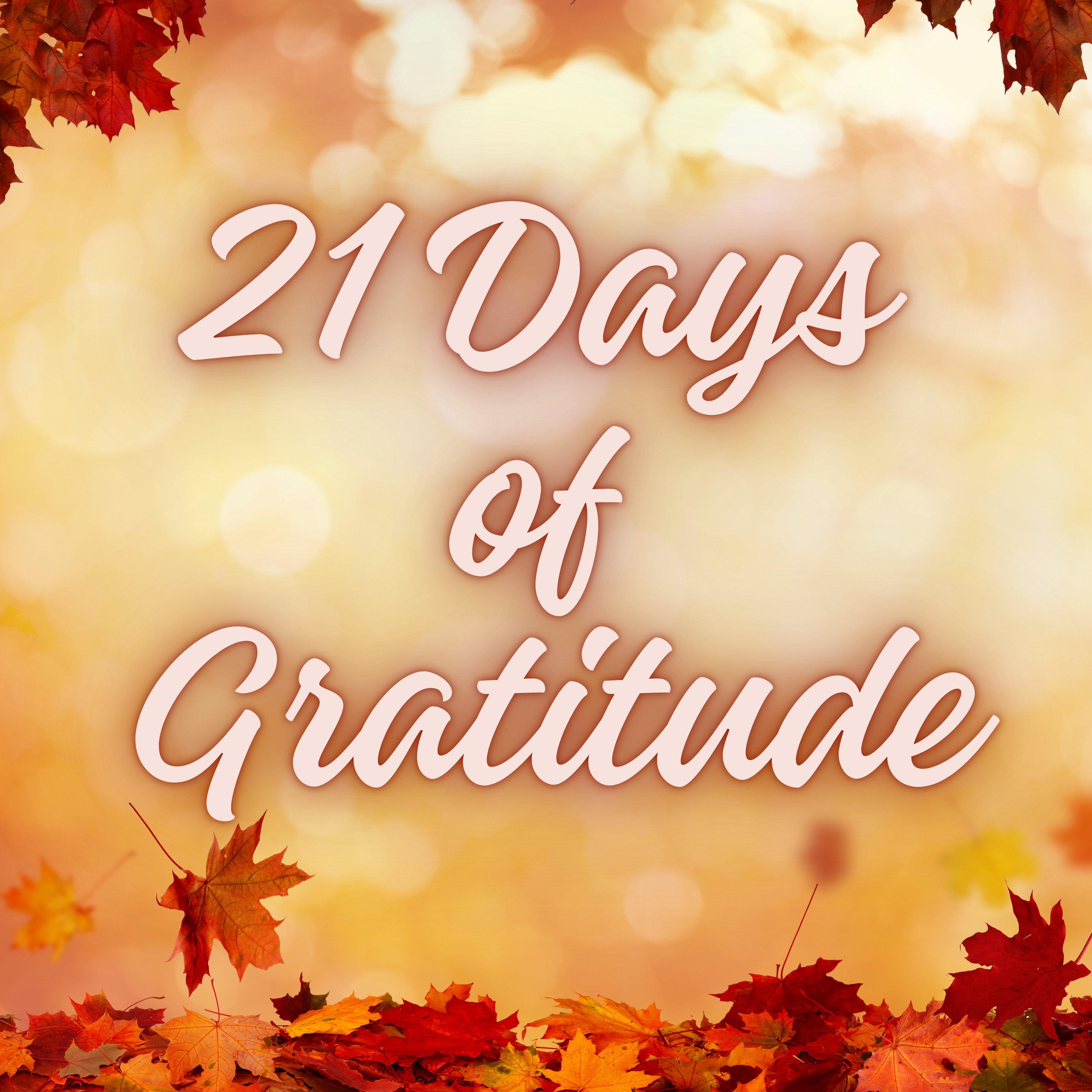 21 Days of Gratitude Week 2 Extra Message