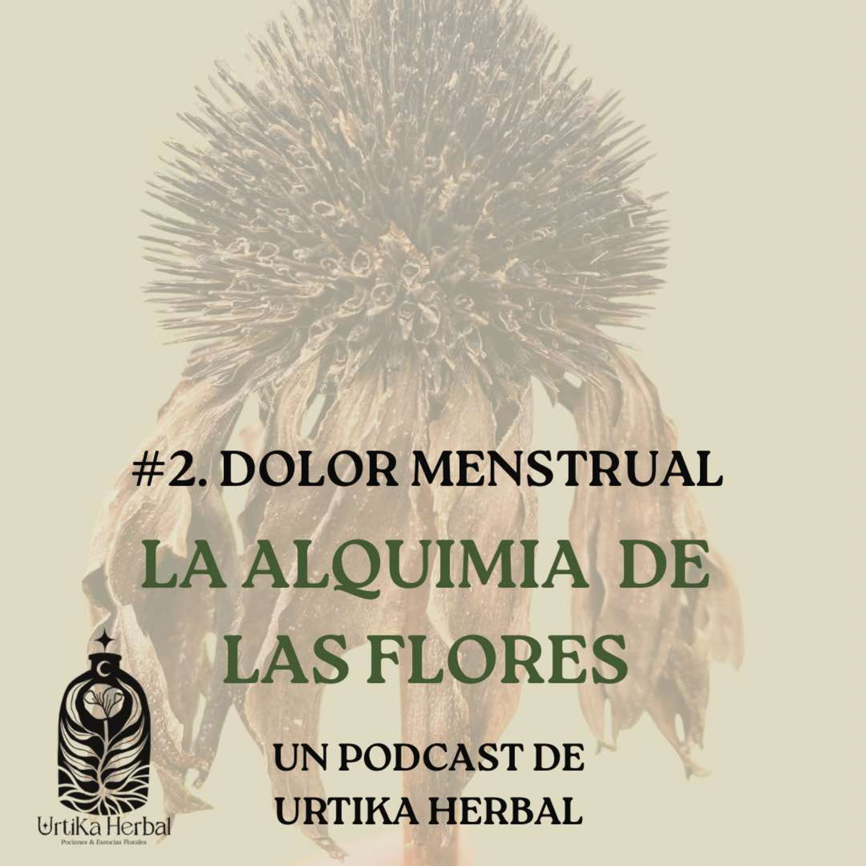 Portada de La Alquimia de las flores