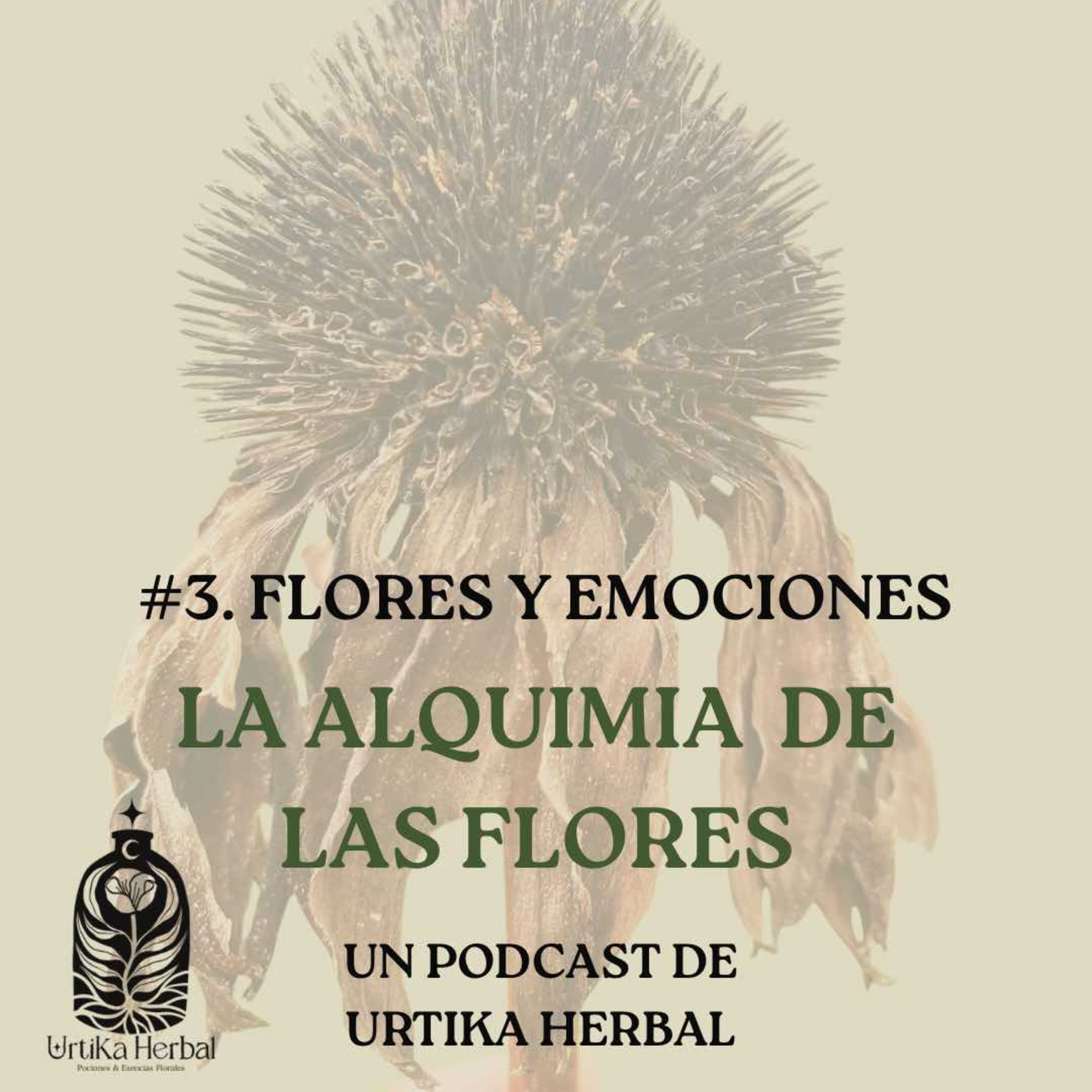 Portada de La Alquimia de las flores