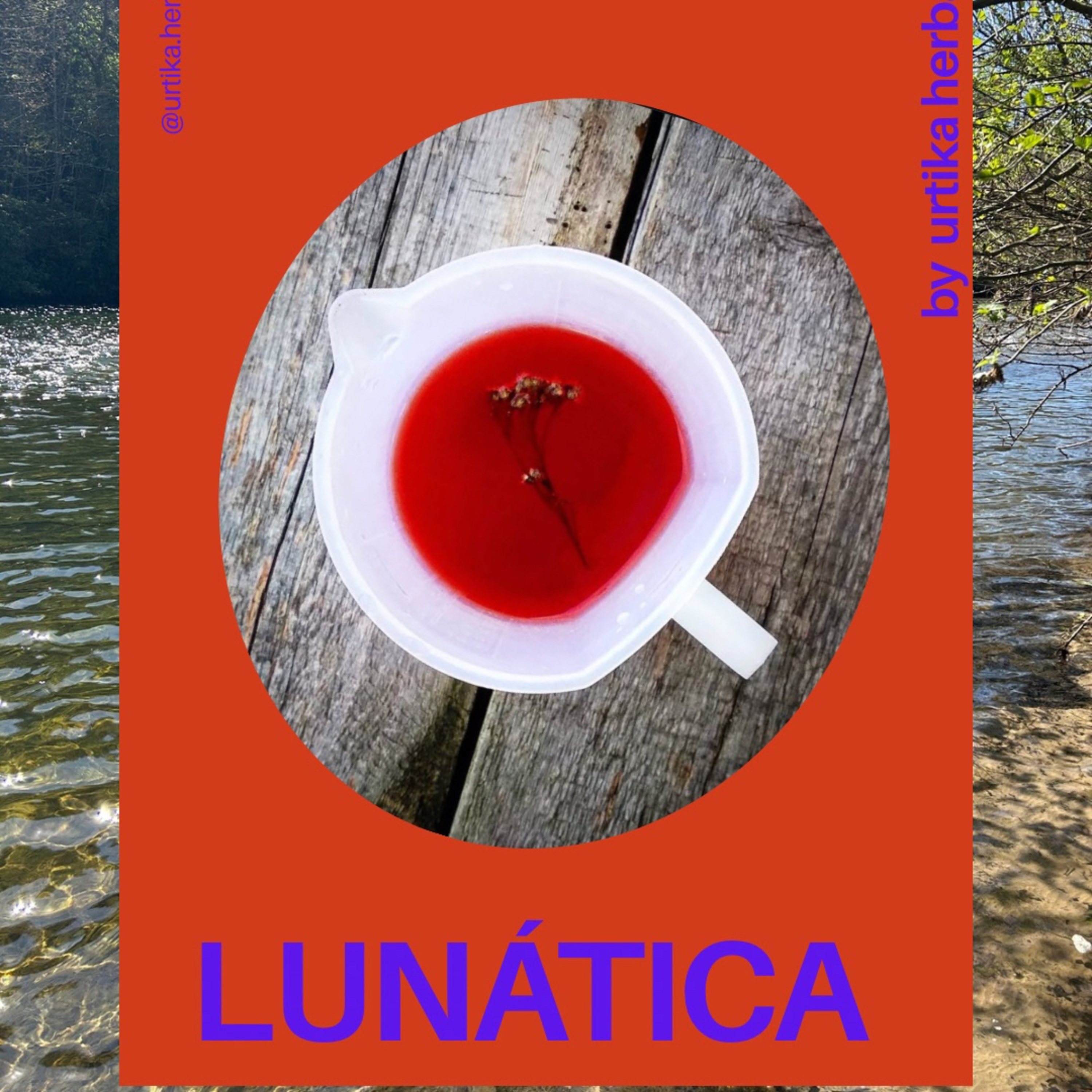 Portada de La Alquimia de las flores