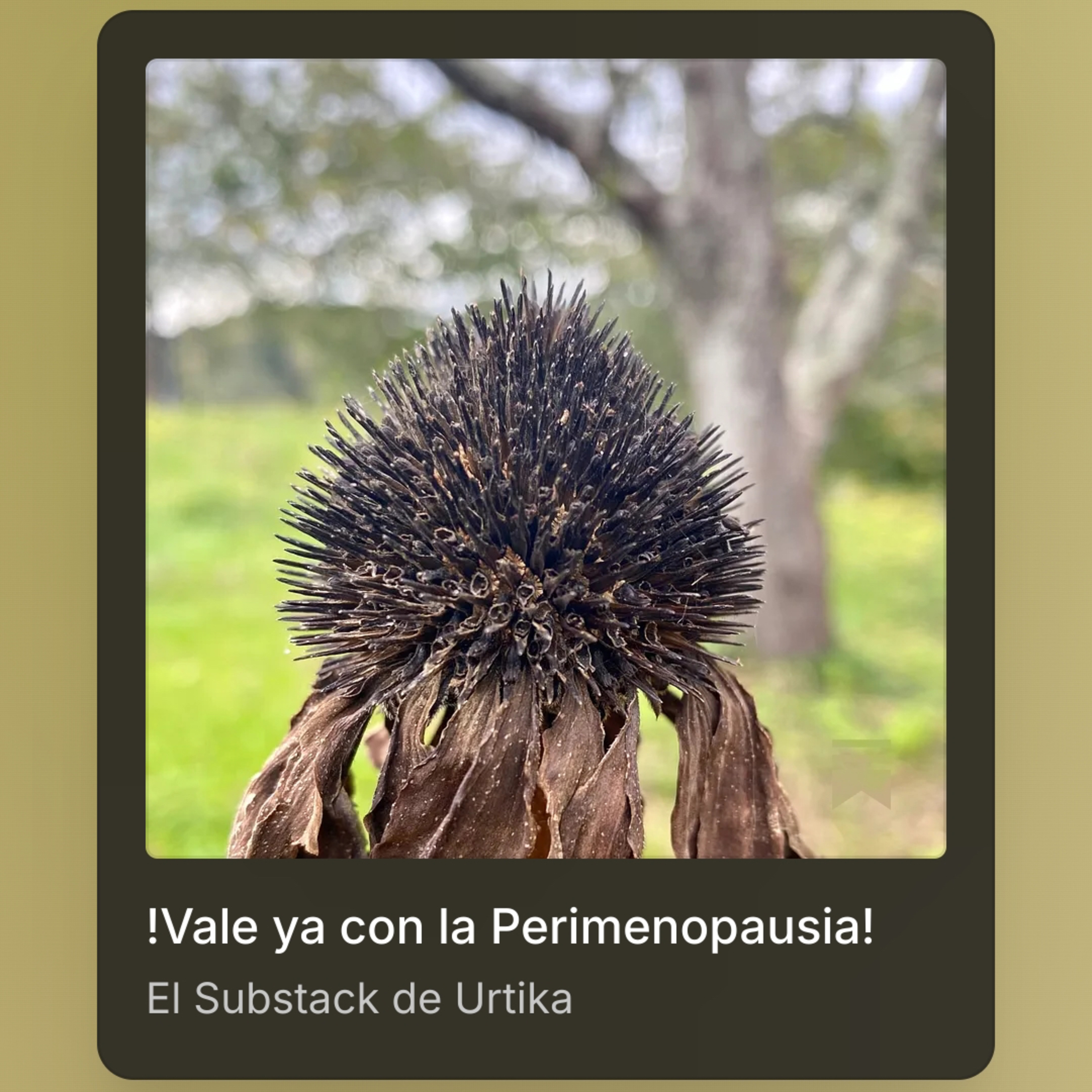 Portada de La Alquimia de las flores