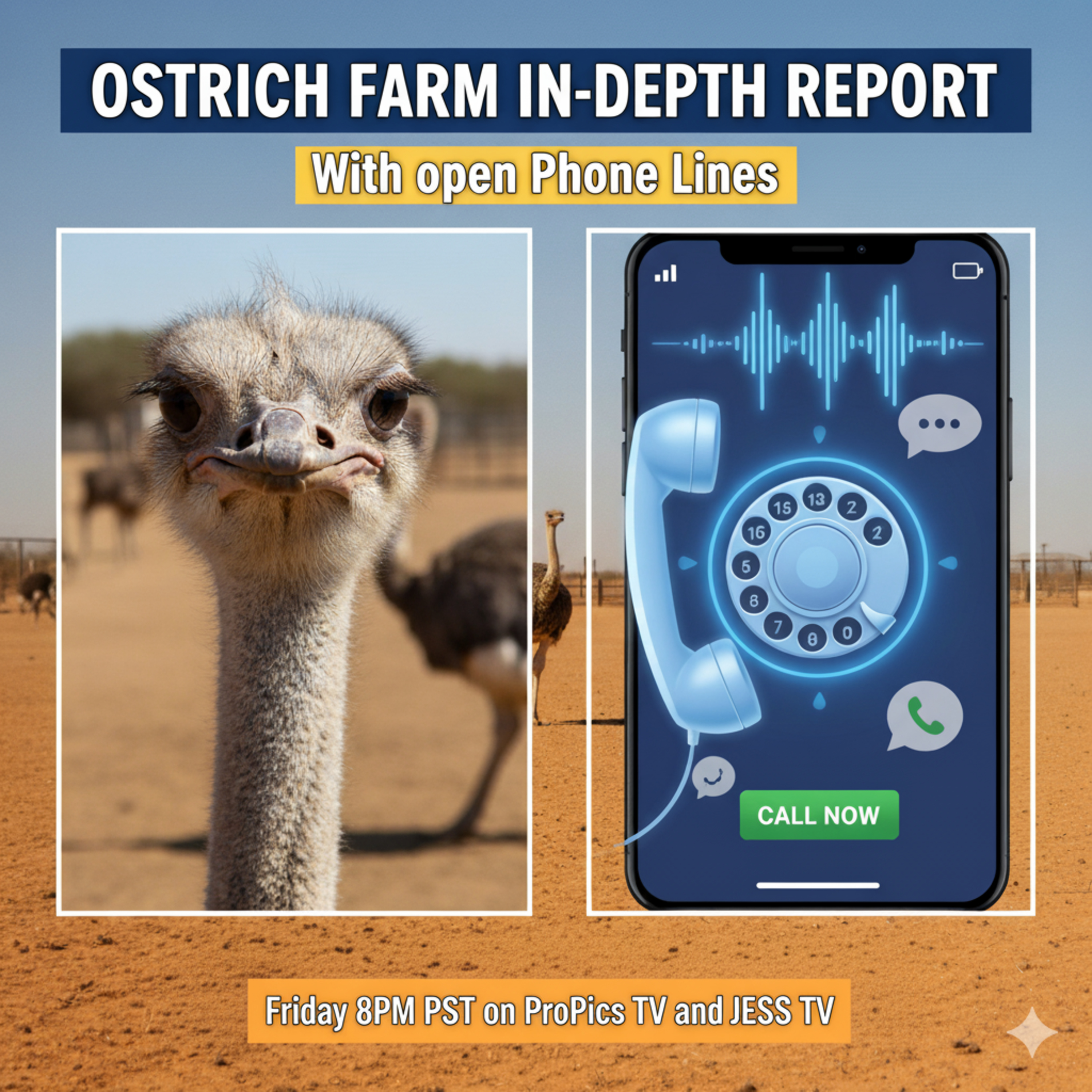 Ostrich Farm Report With Open Phone Lines Friday at 8PM PST episode artwork