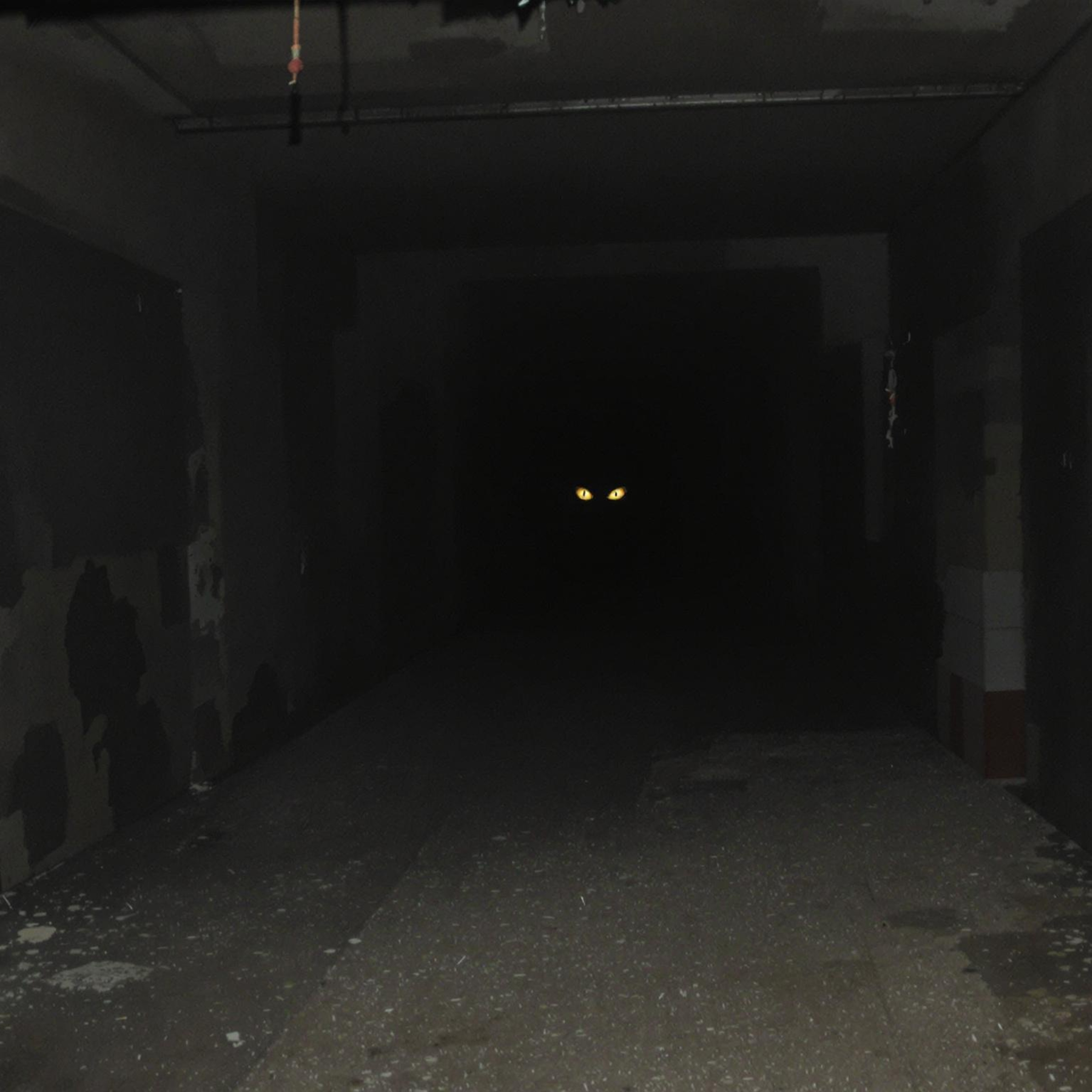 Creepy Bites - ein CreepyPastaPunch Podcast