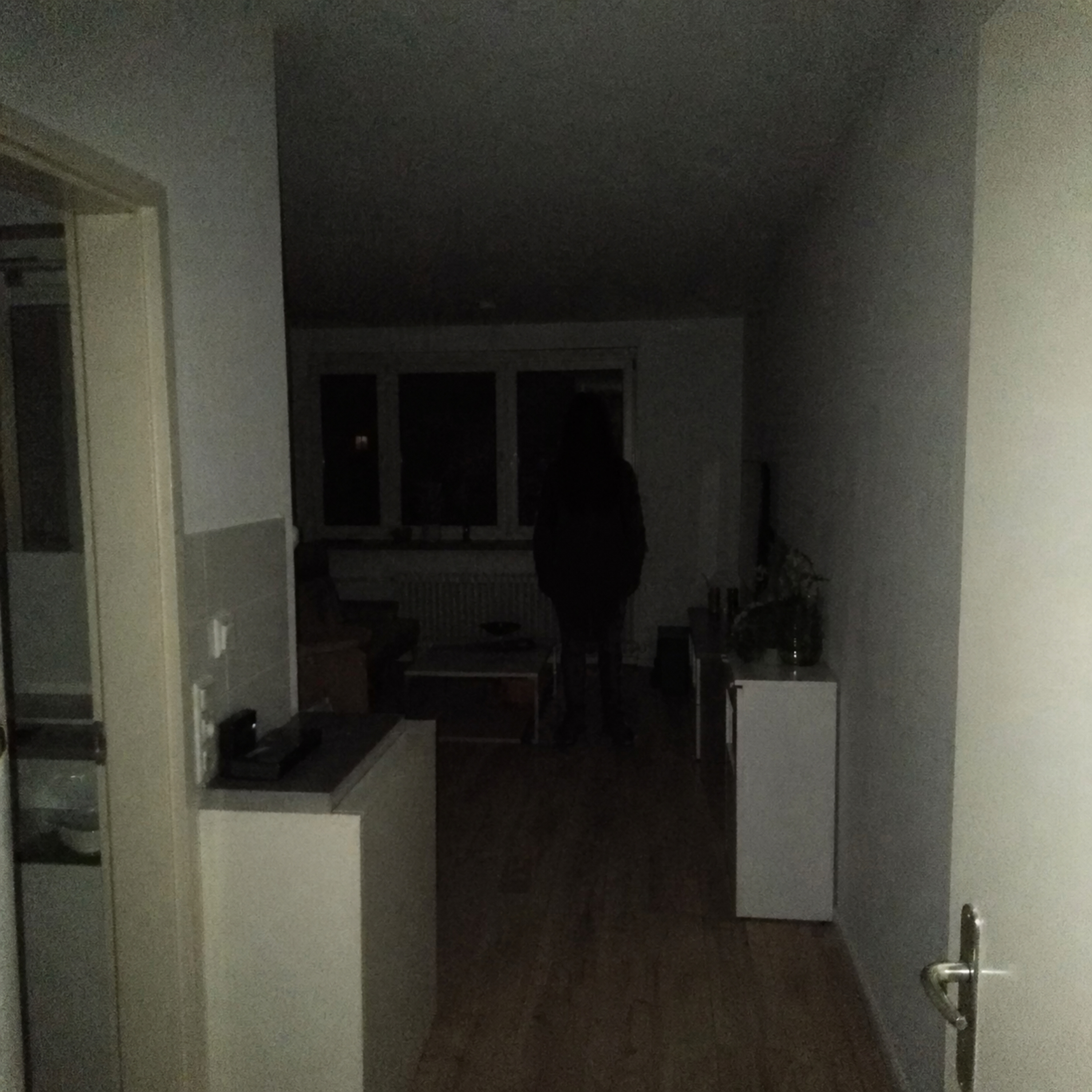 Ich lebe in einer gruseligen Wohnung und ich muss seltsame REGELN beachten! episode artwork
