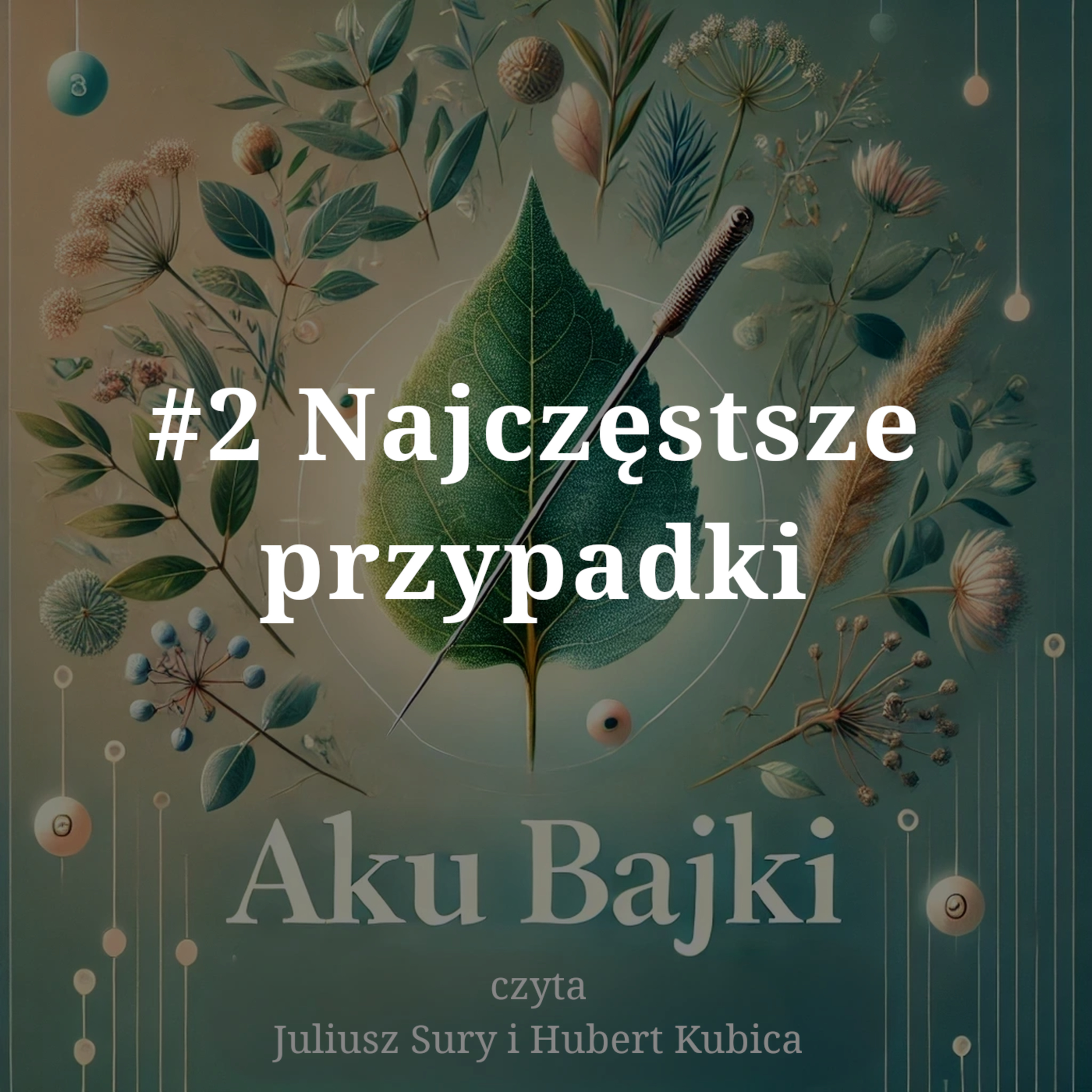 #2 Najczęstsze przypadki episode artwork
