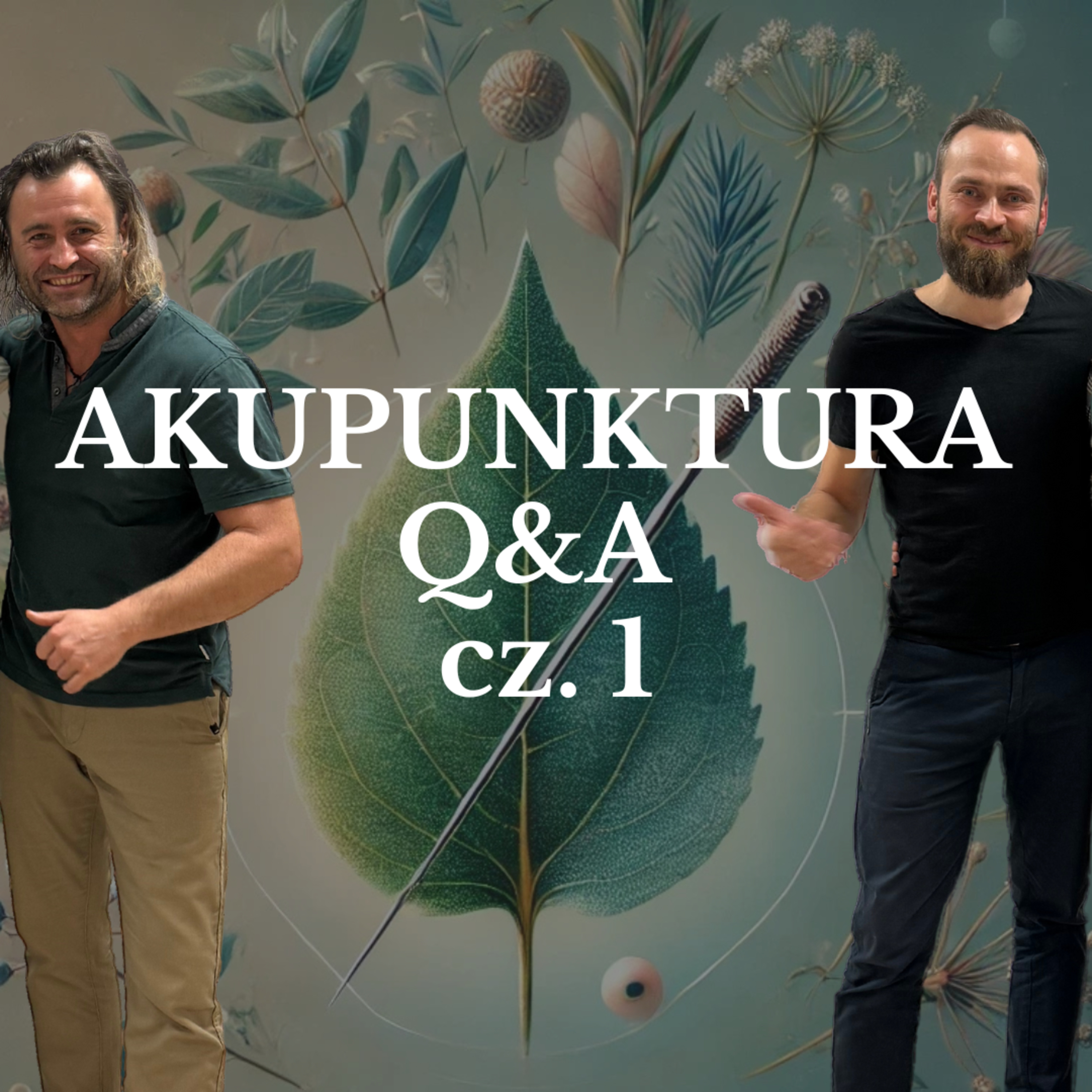 013. Akupunktura sesja Q&A cz. 1 episode artwork