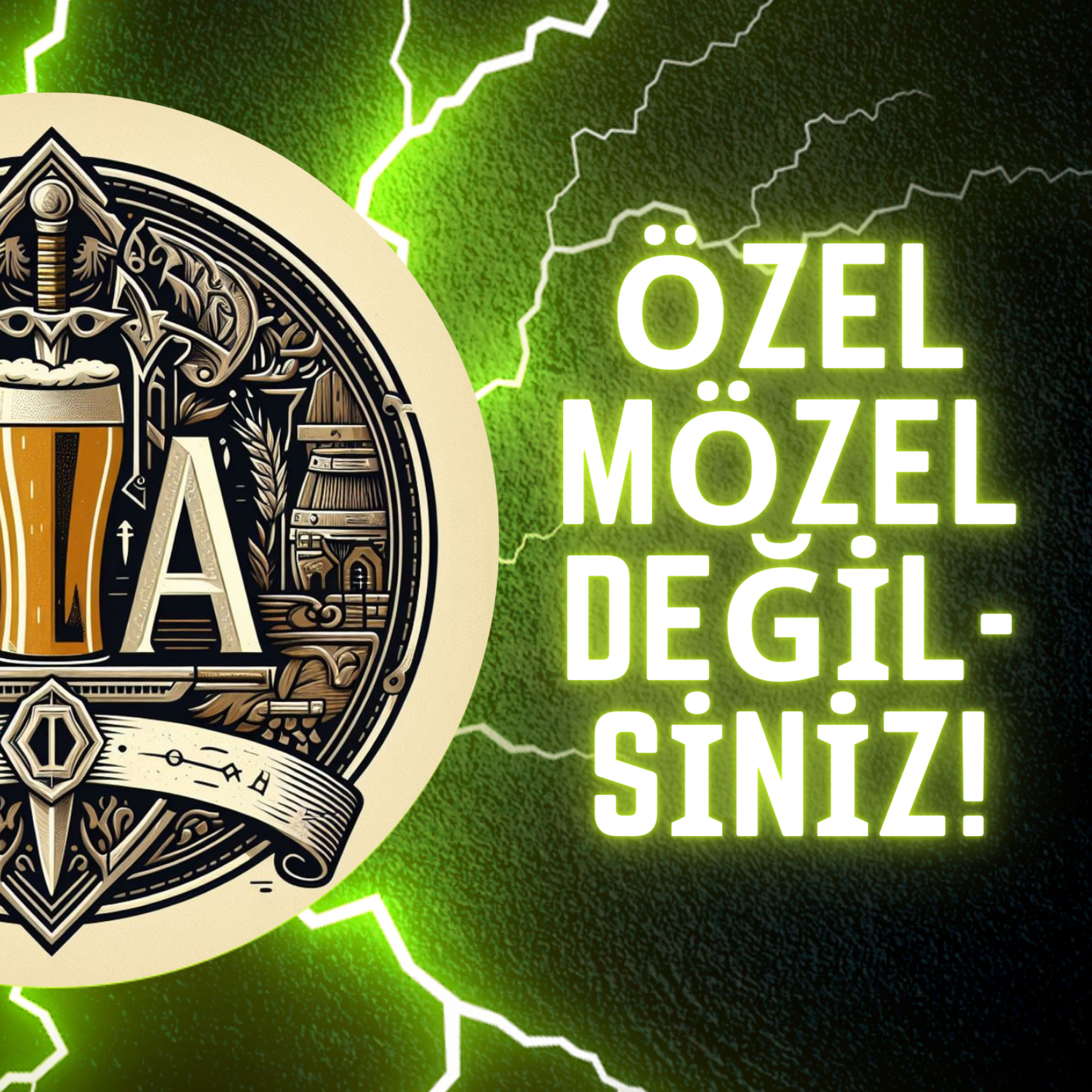 Hepimiz Çok Özelsek Kim Lan Bu Önemsizler? episode artwork