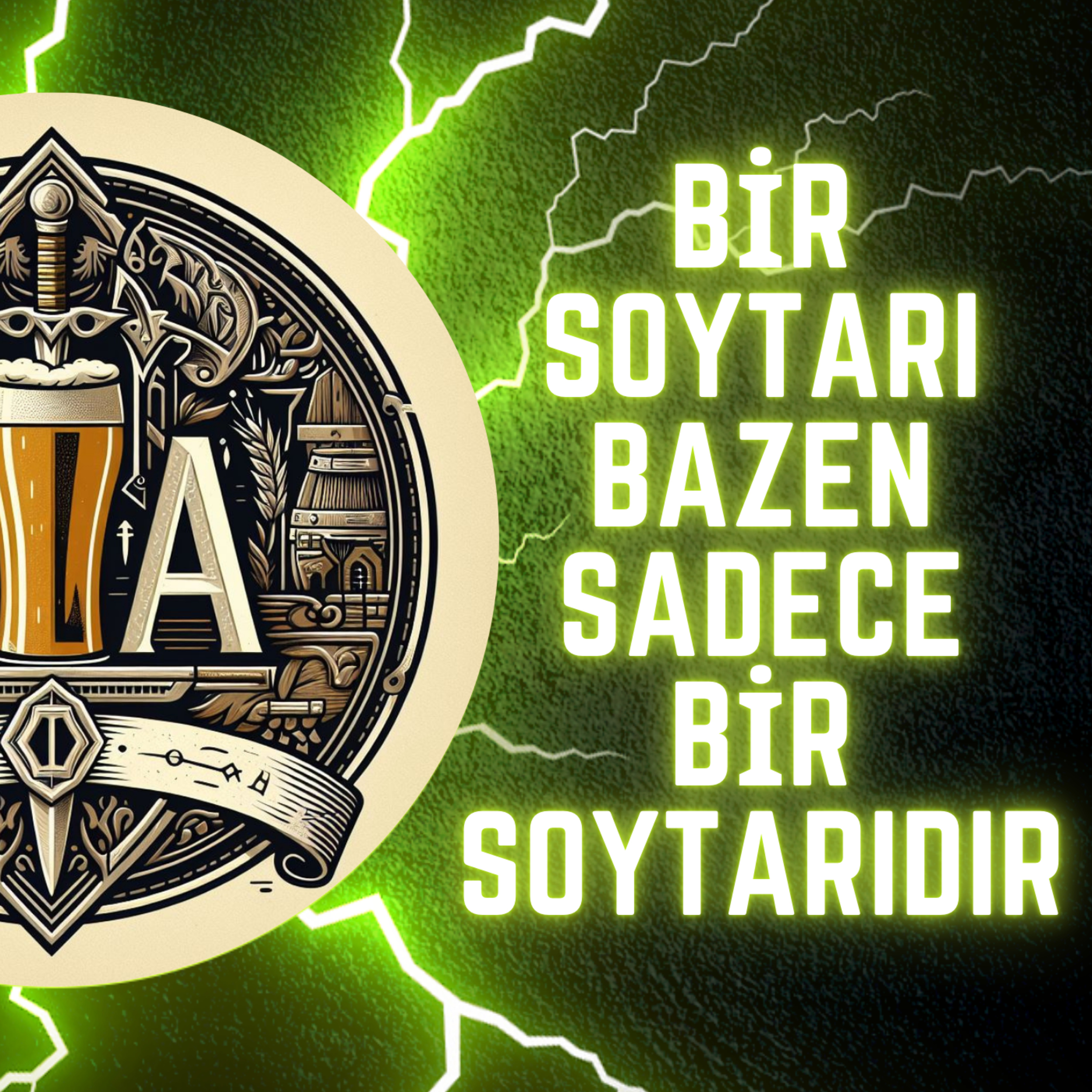 Sanatçınızı Nasıl Alırdınız? episode artwork
