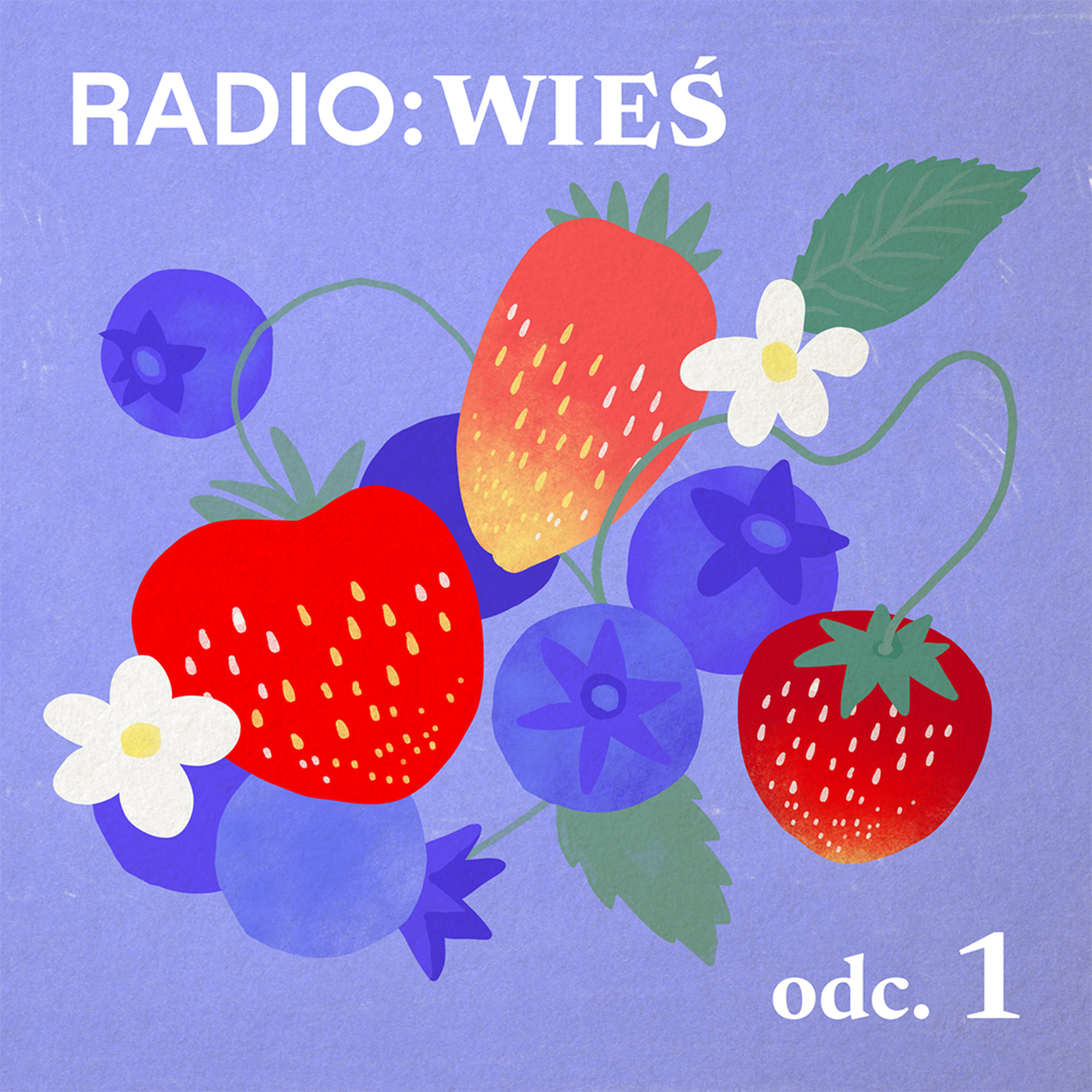 Radio Wieś: Sezon na owoce episode artwork