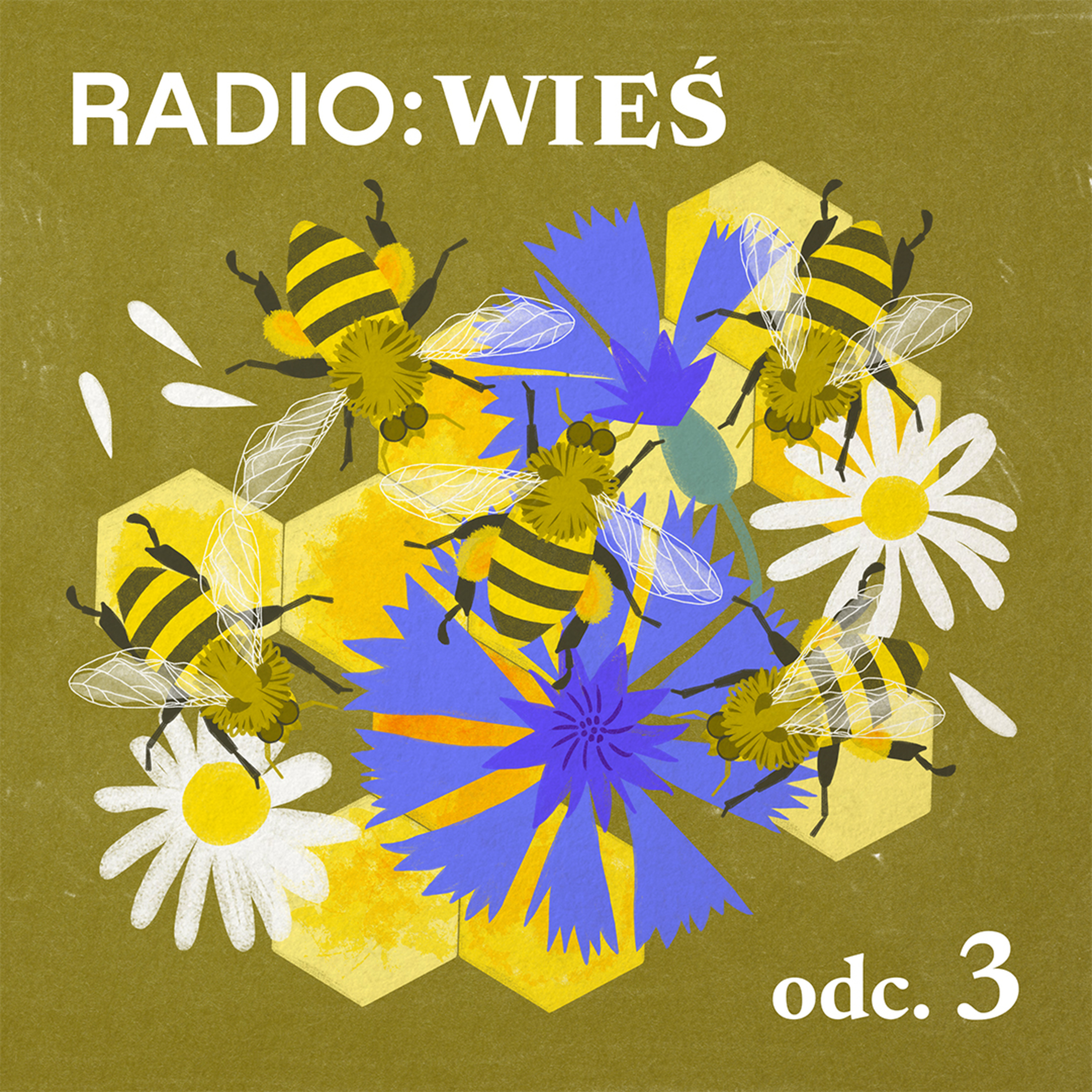 Radio Wieś: Nowoczesna pasieka jest jak laboratorium. Jak się żyje mieszczuchom na wsi? episode artwork