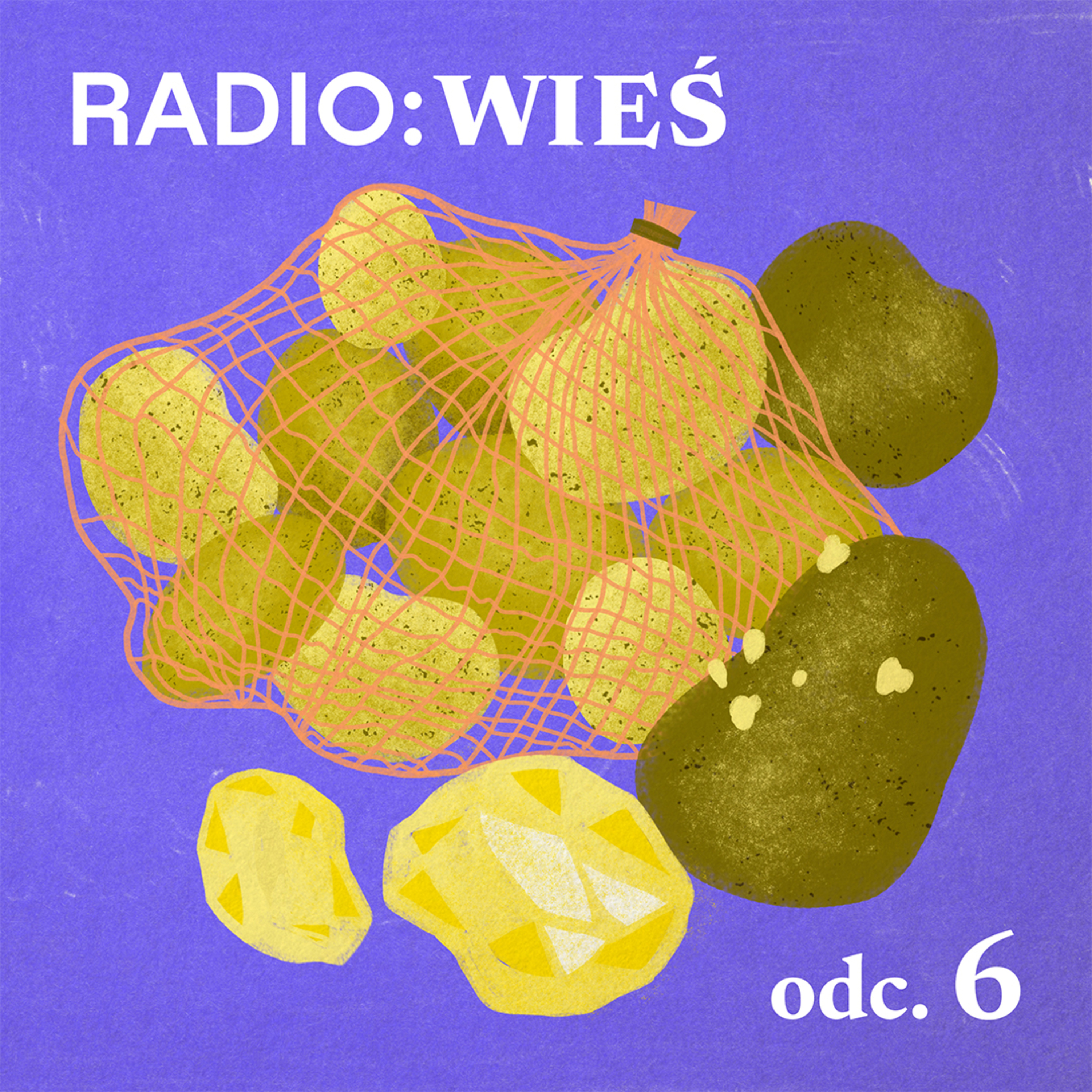 Radio Wieś: Królestwo ziemniaka - czy regeneratywna uprawa poprawi jakość gleb? episode artwork