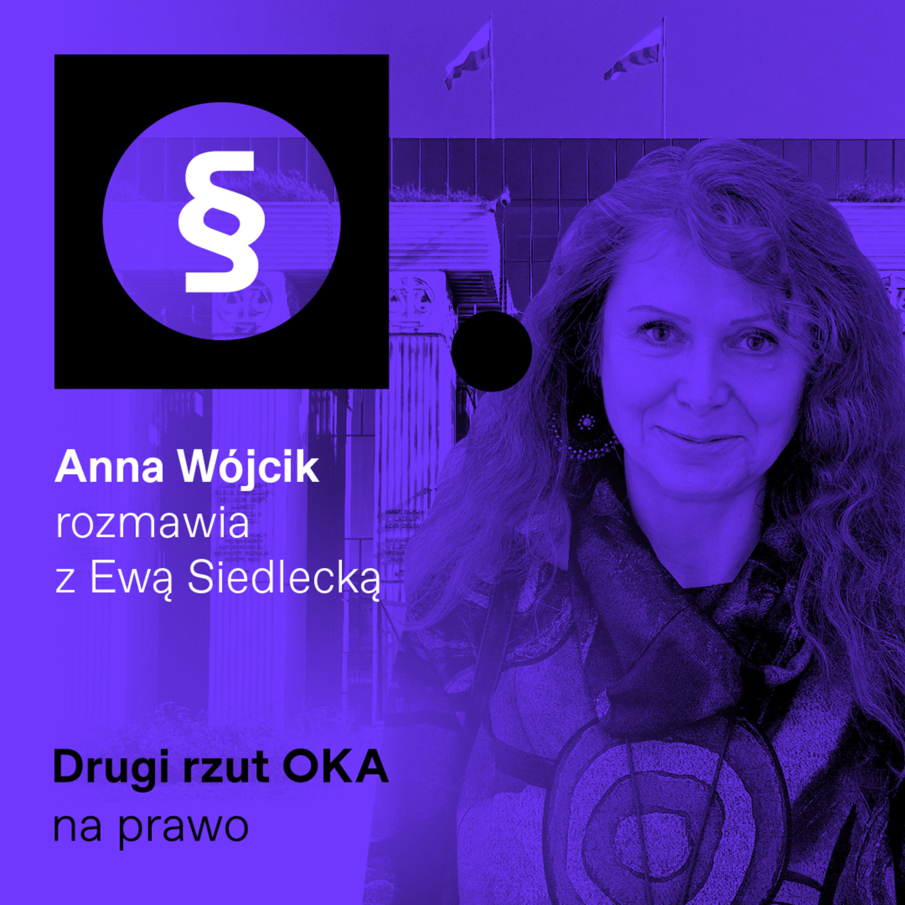 Czy rozliczenia PiS i naprawa sądów przyśpieszą? Podcast Drugi Rzut OKA episode artwork