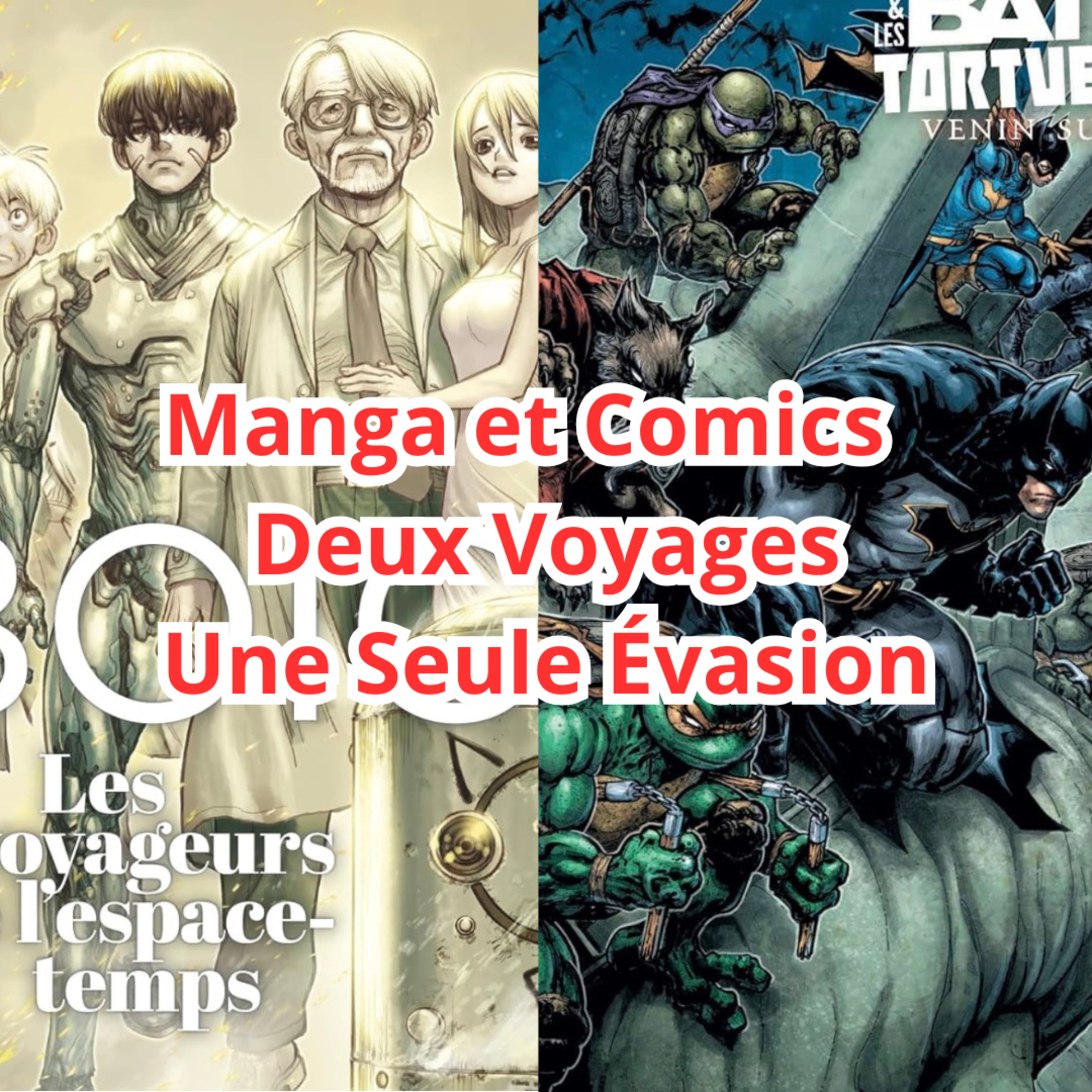 Manga et Comics : Deux Voyages, Une Seule Évasion