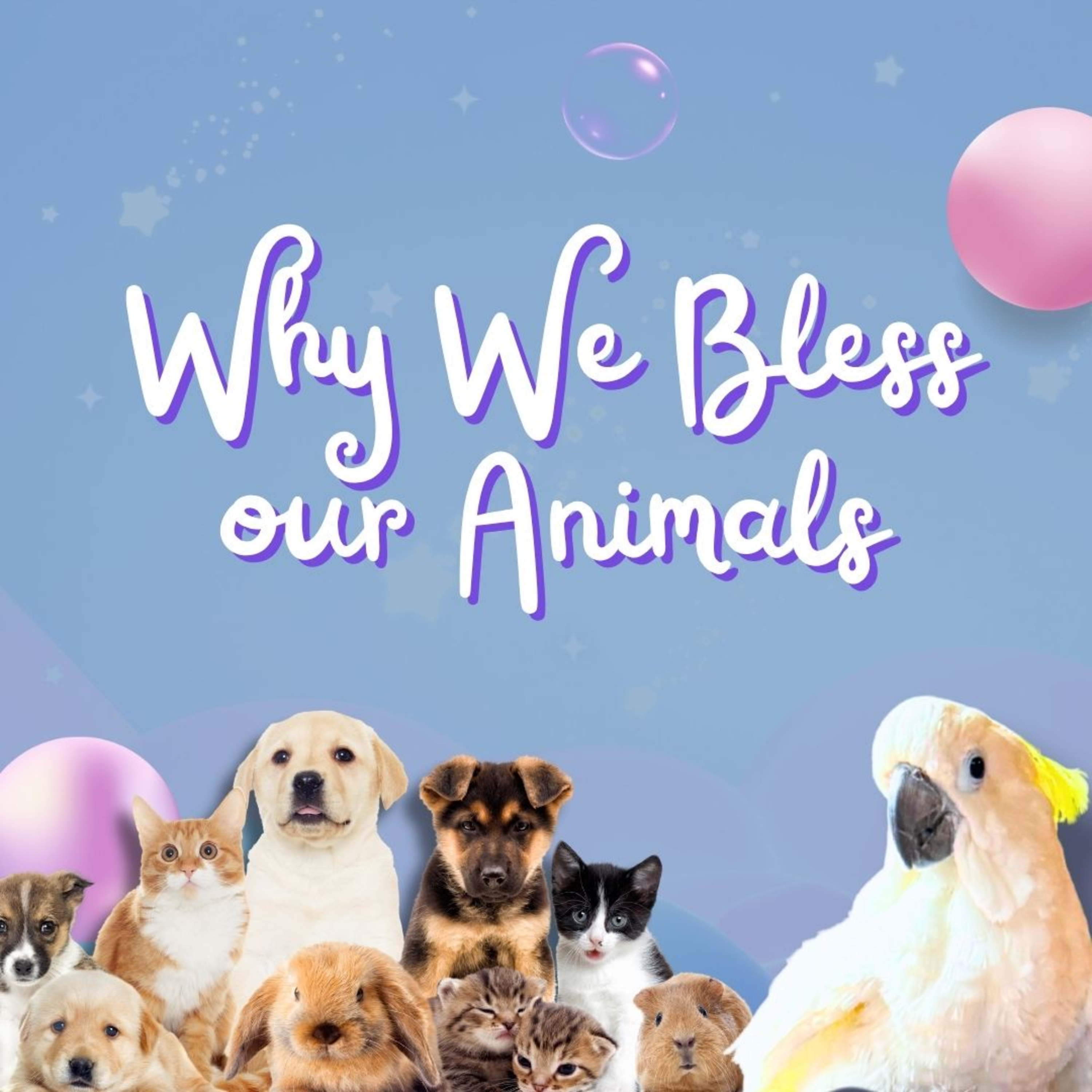 Why We Bless Our Animals | Children's Sermon | Mother Paige episode artwork