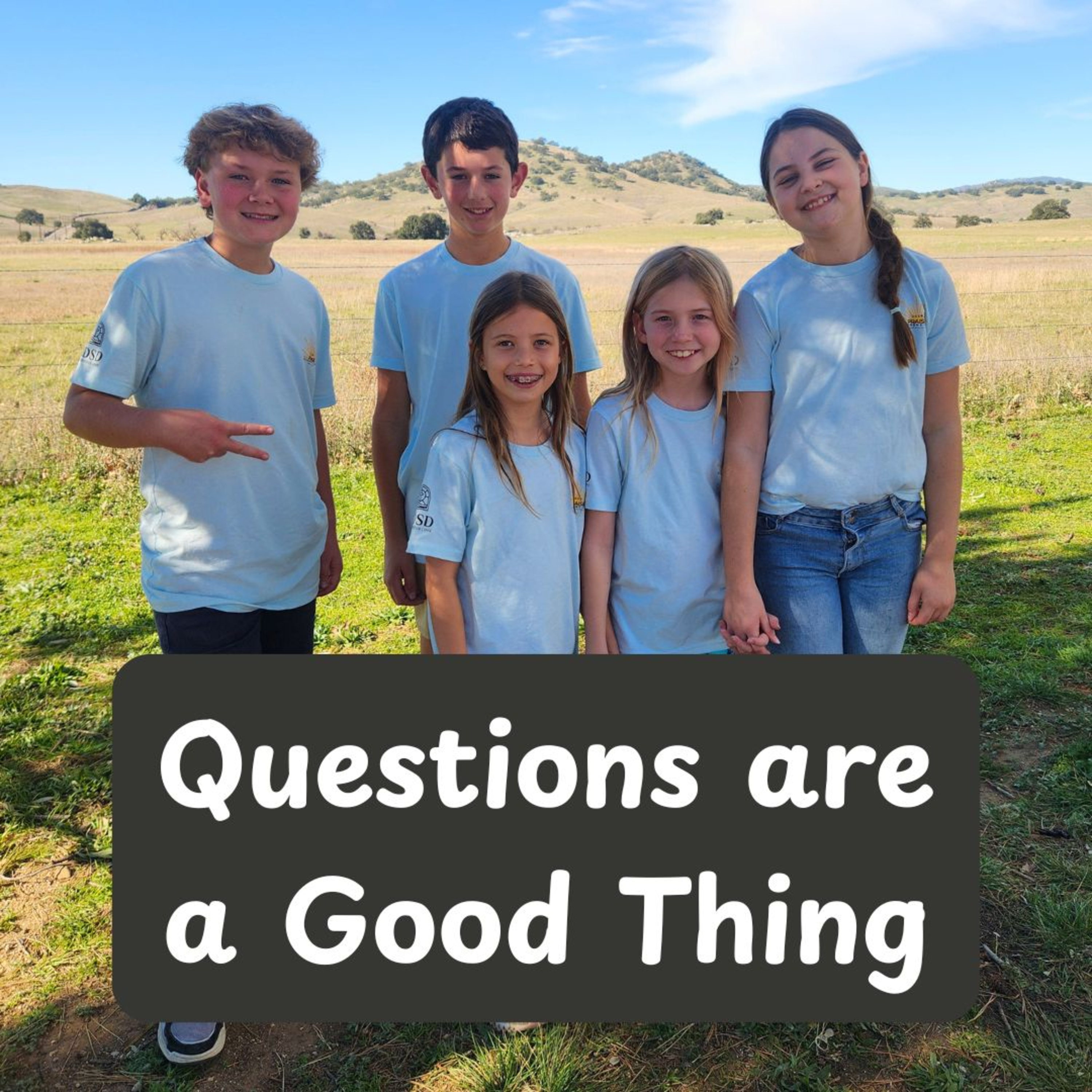 Curiosity and Questions: Discovering the Disciples' Journey episode artwork
