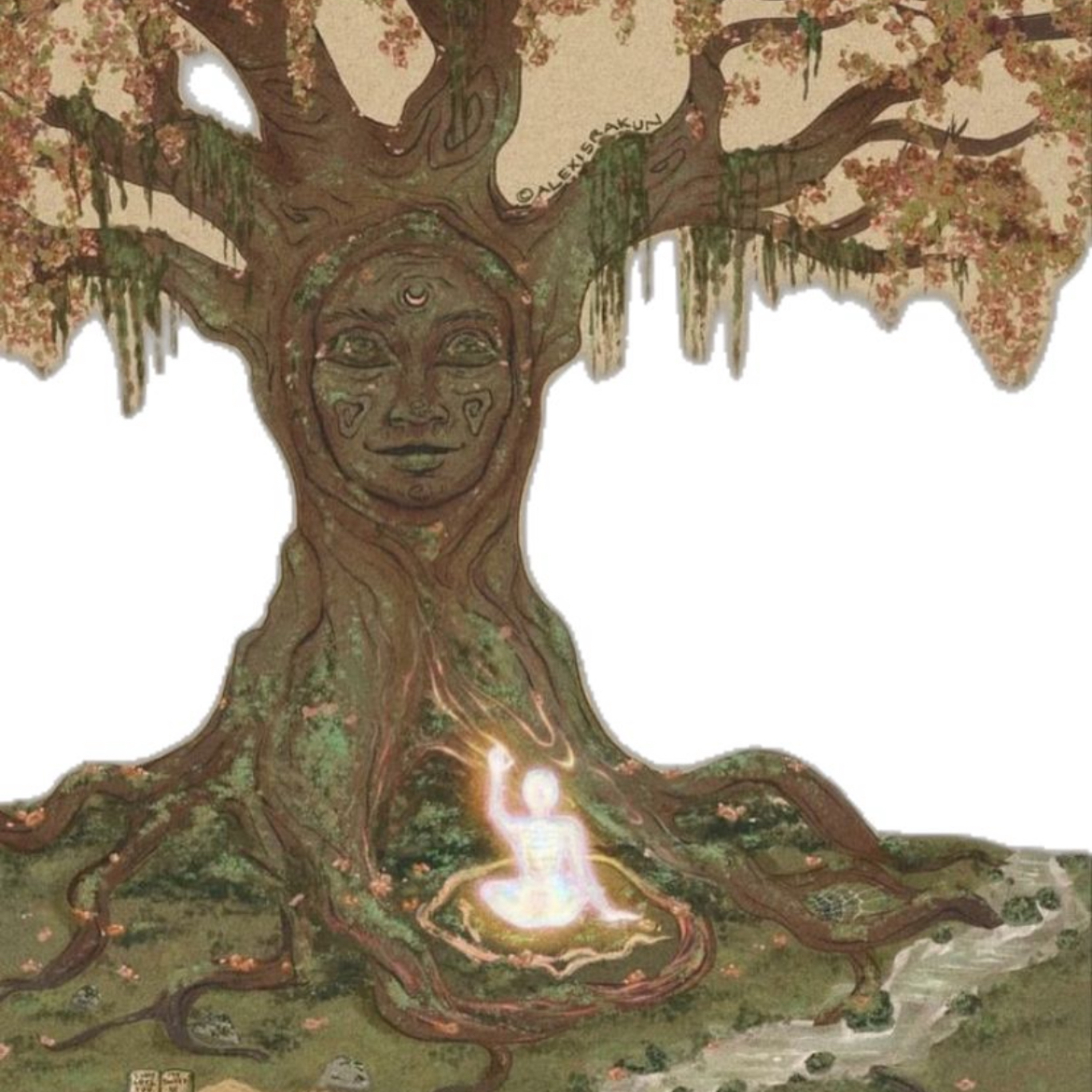 feelingofhealing